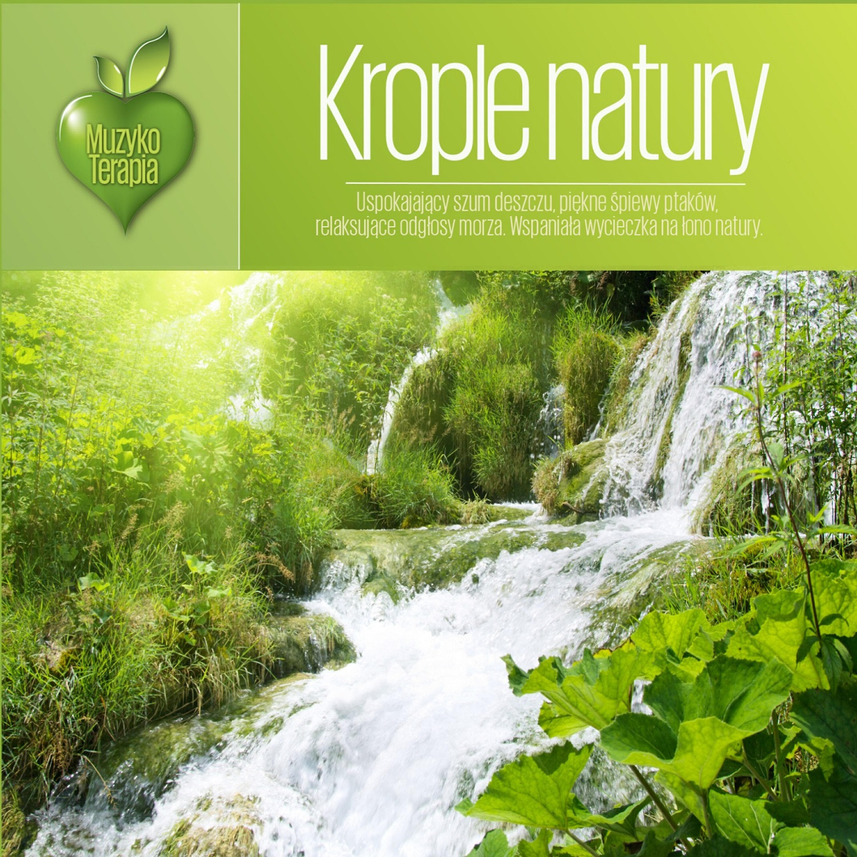 Релиз Krople Natury. MusicTherapy - Drops of Nature