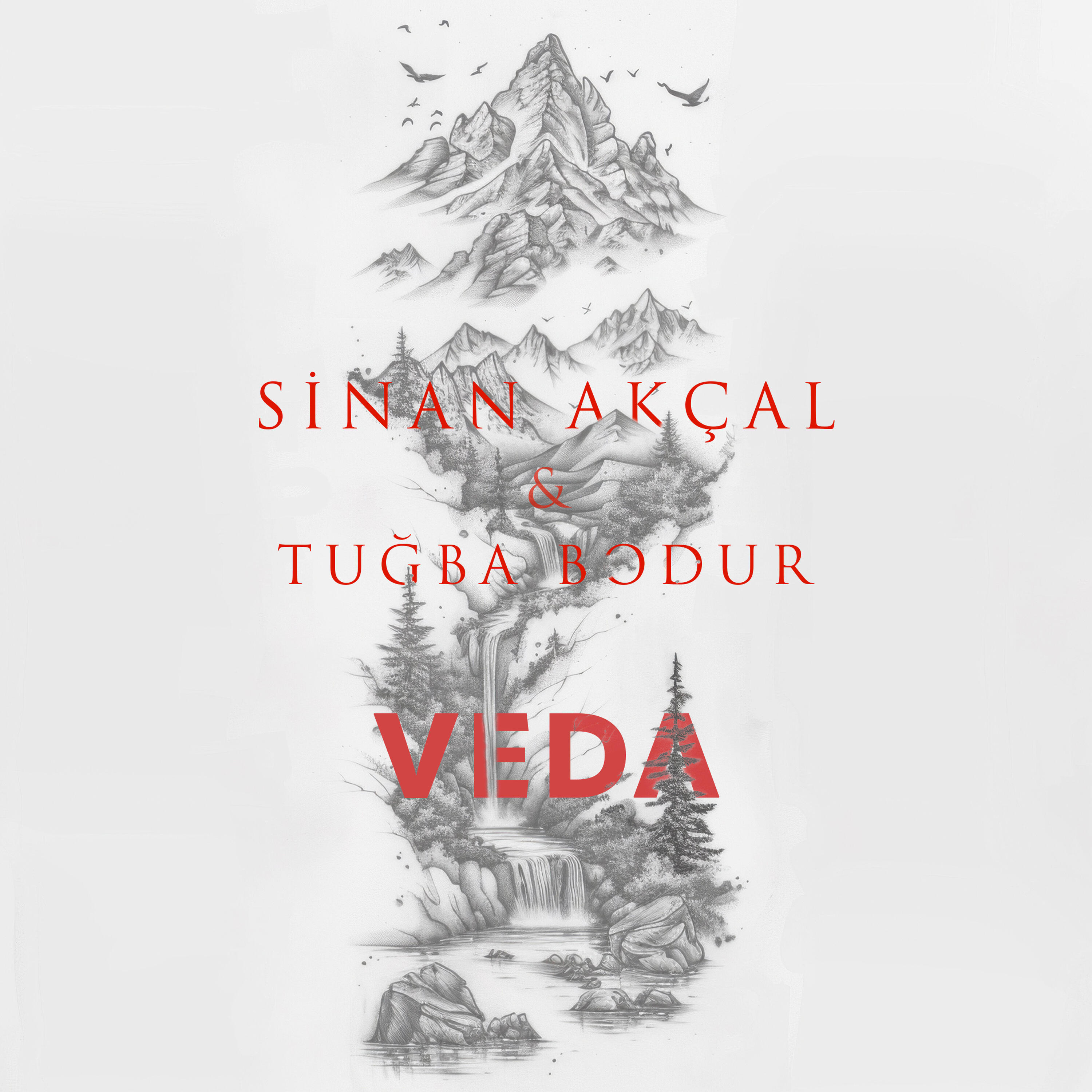 Релиз Veda