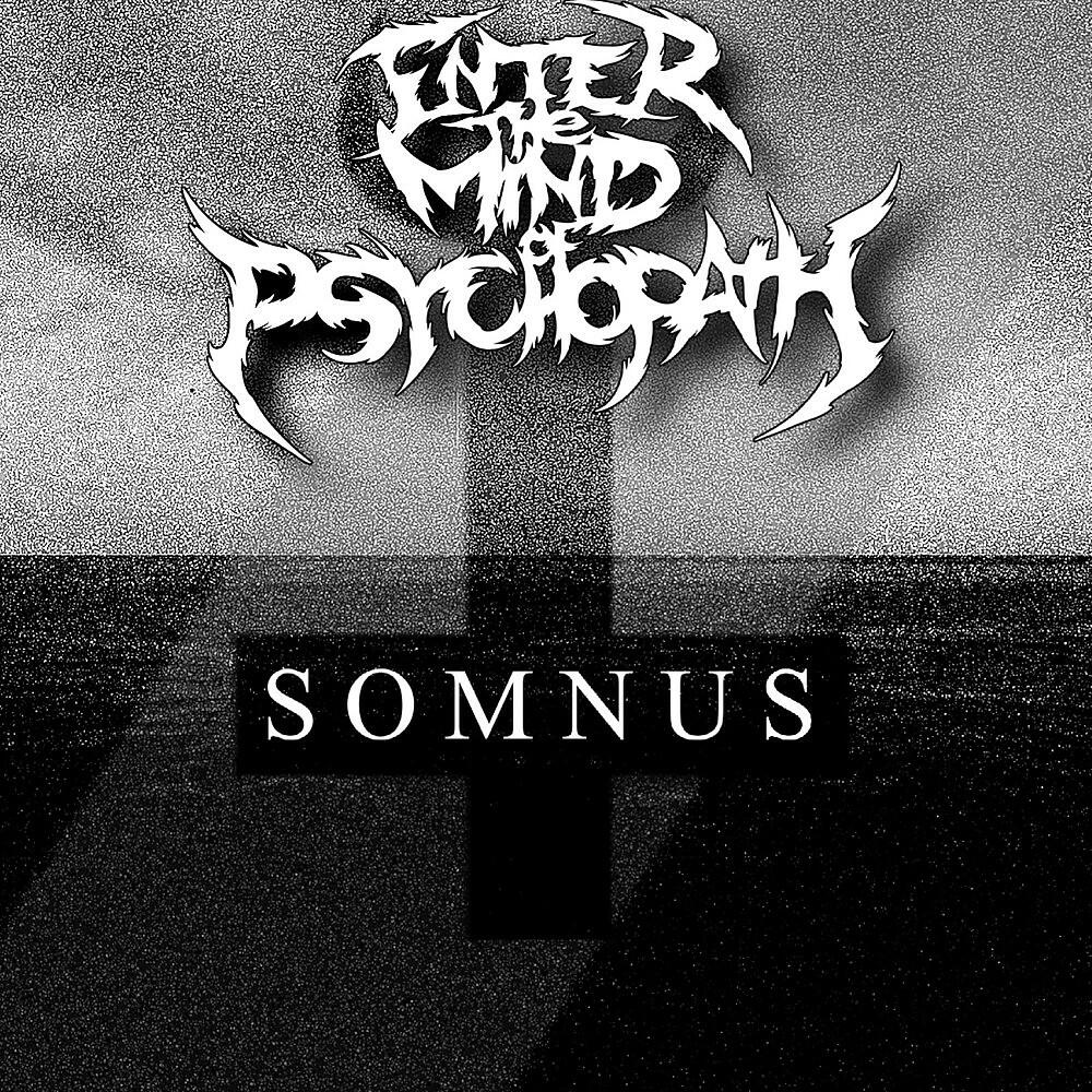 Постер альбома Somnus