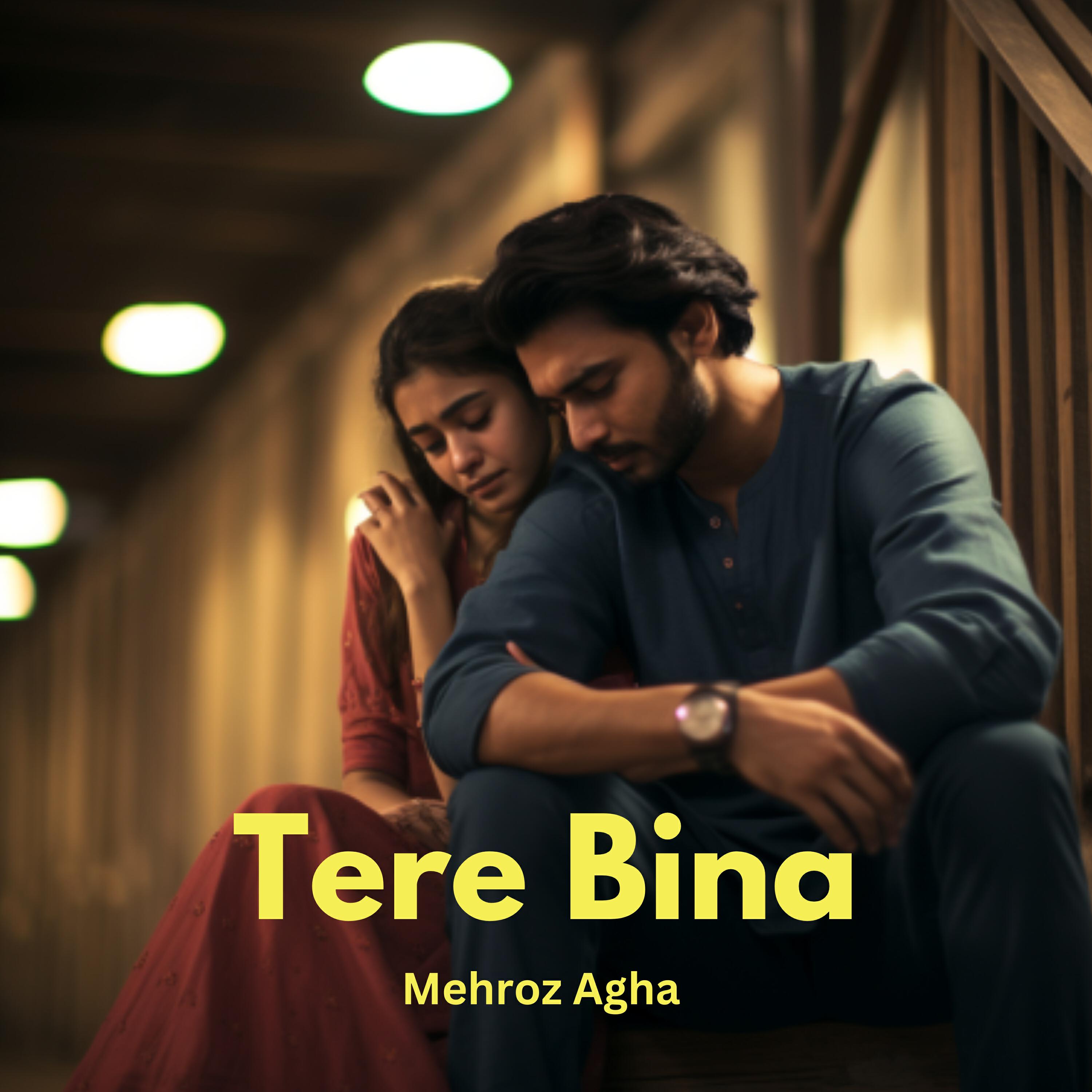 Mehroz Agha