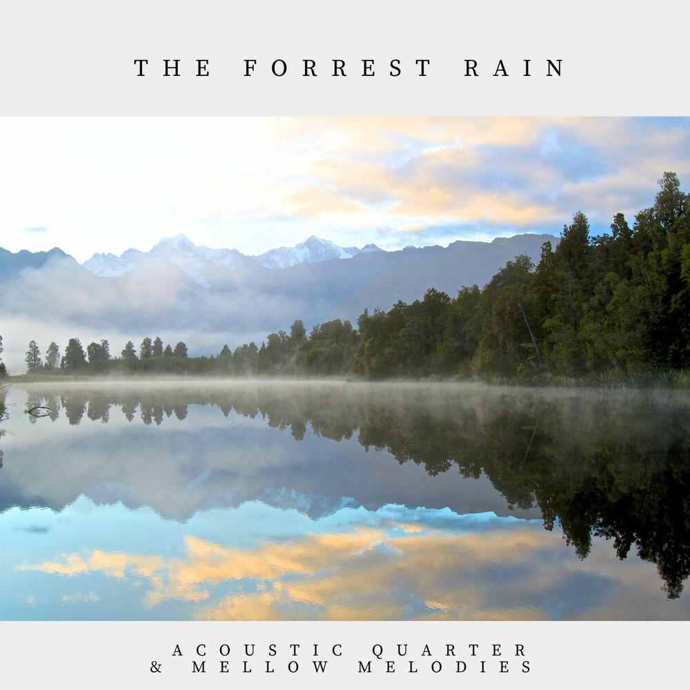 Релиз The Forrest Rain