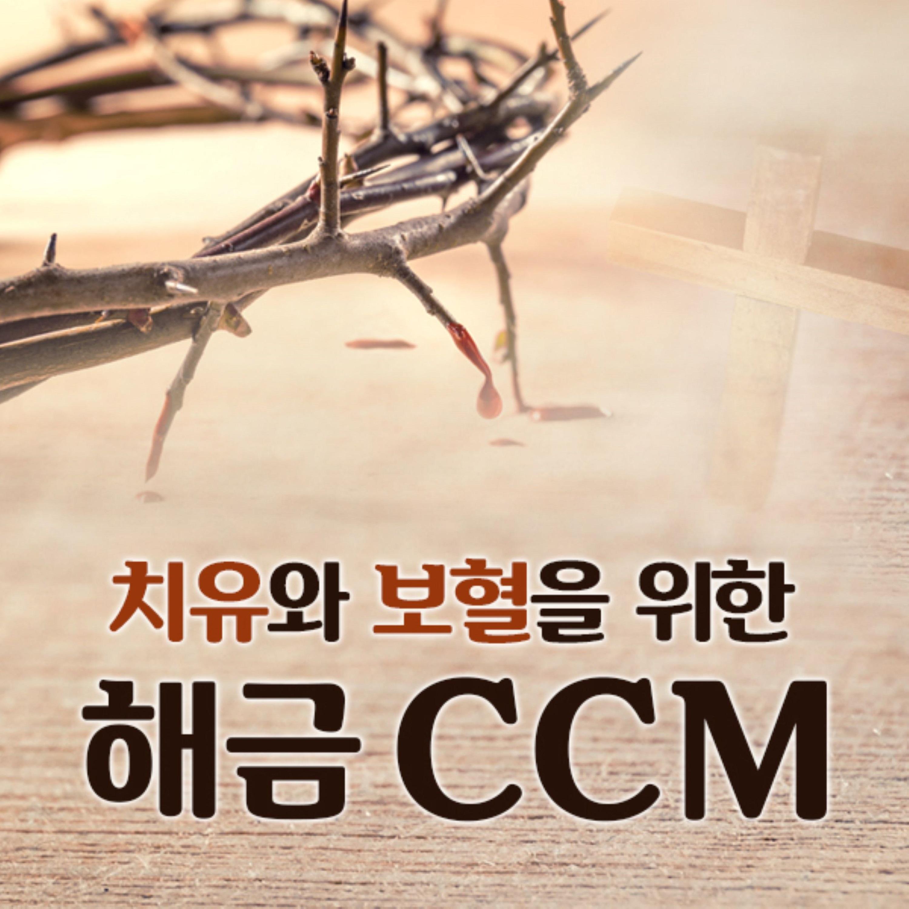 Релиз CCM for Healing (Haegeum Cover Ver.)