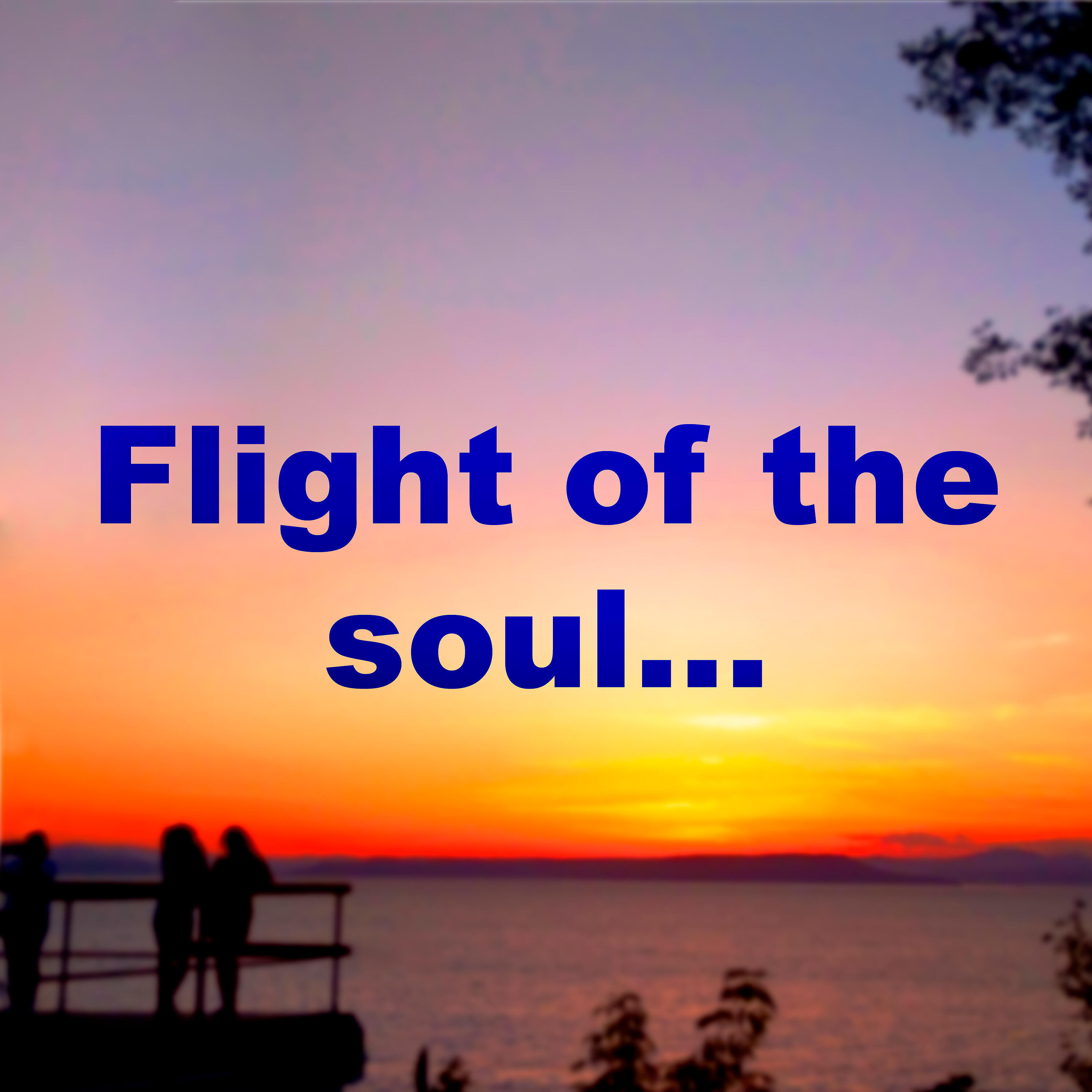 Релиз Flight of the Soul