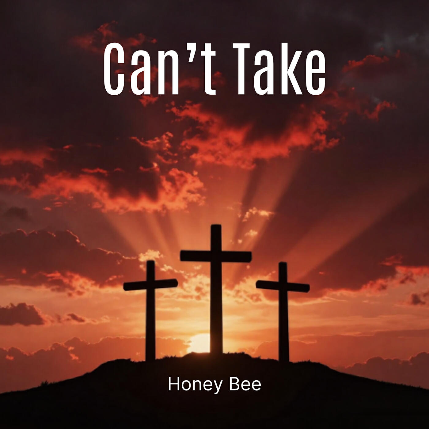 Релиз Can't Take