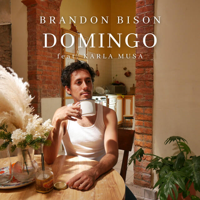 Релиз Domingo