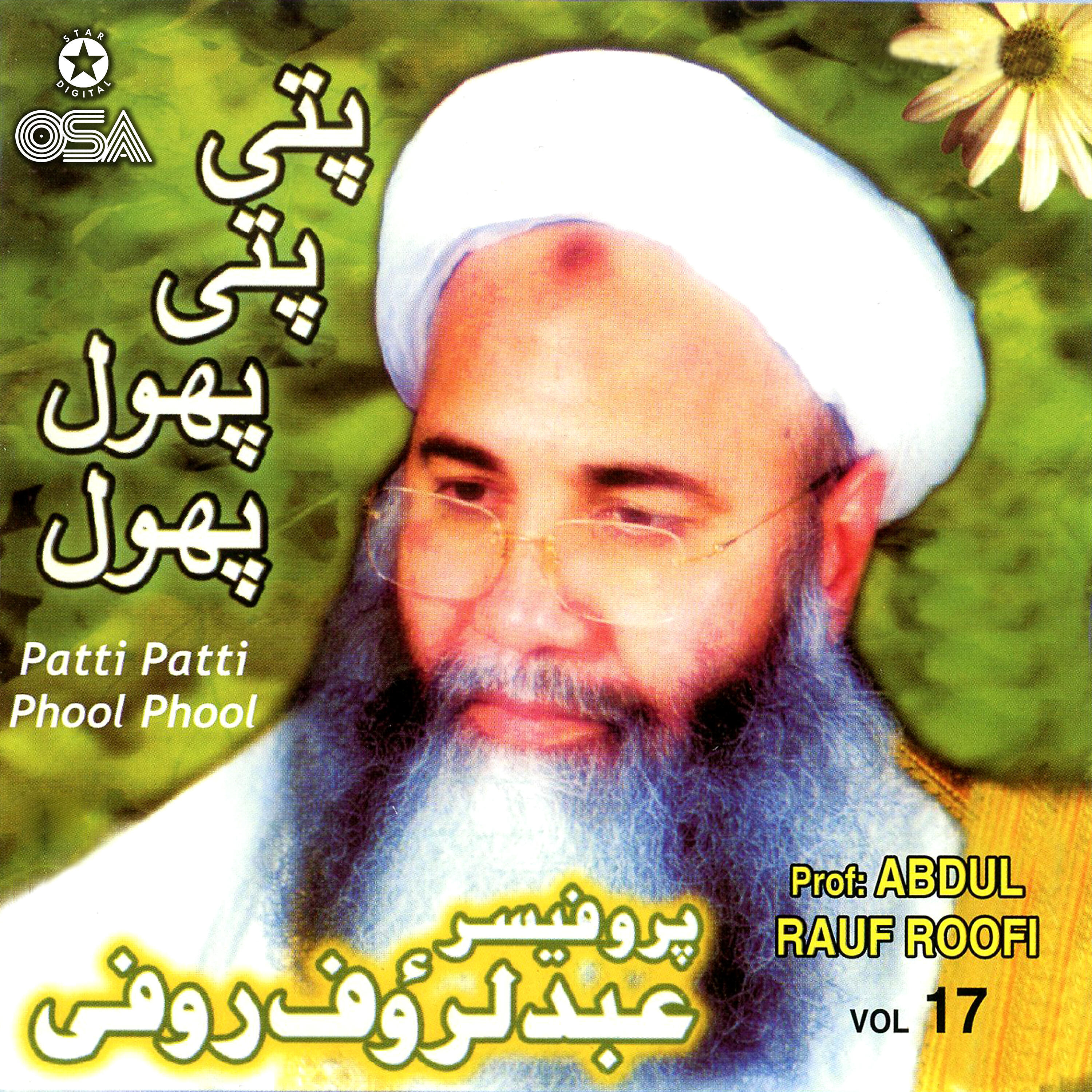 Релиз Patti Patti Phool Phool, Vol. 17