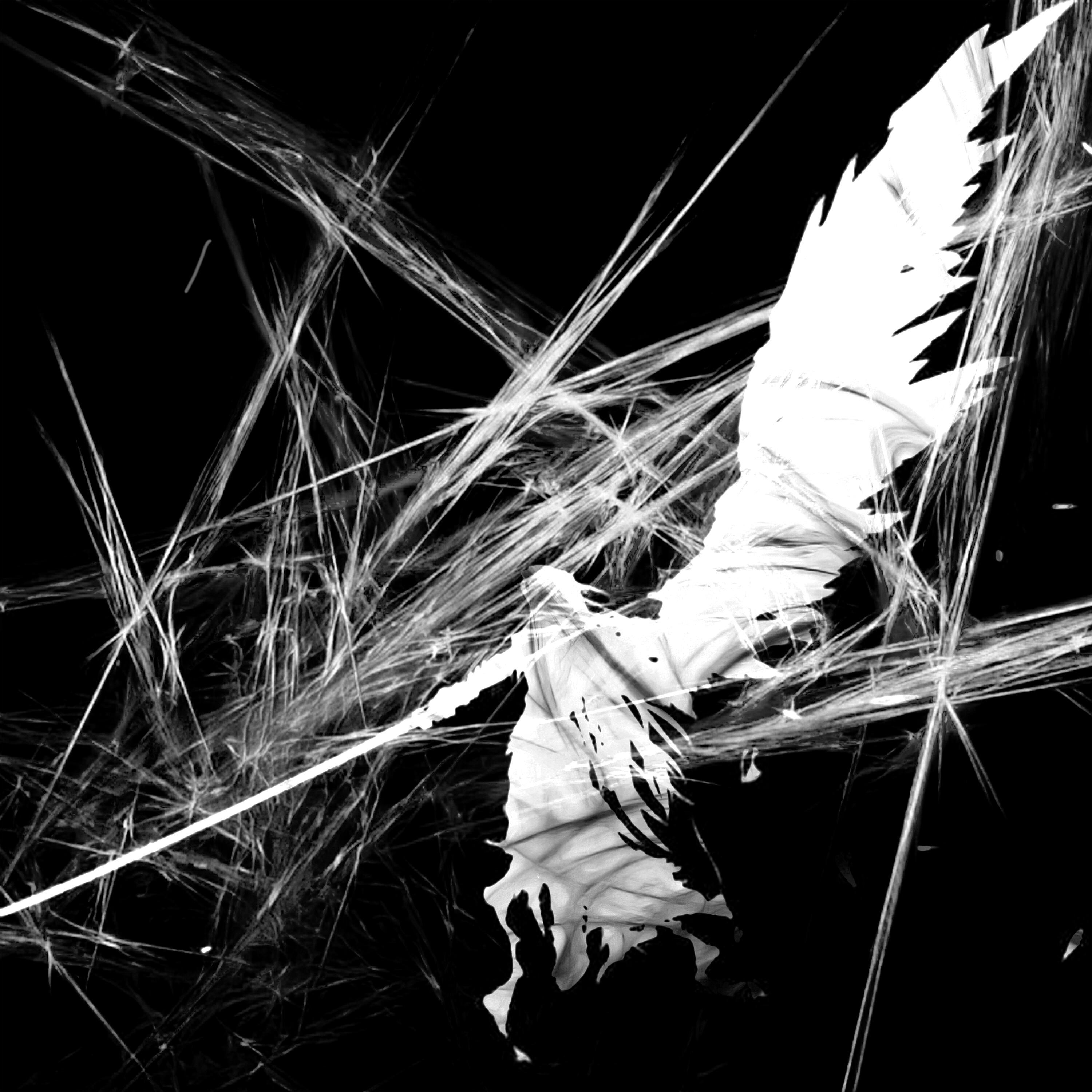 Релиз WHITESHADOW