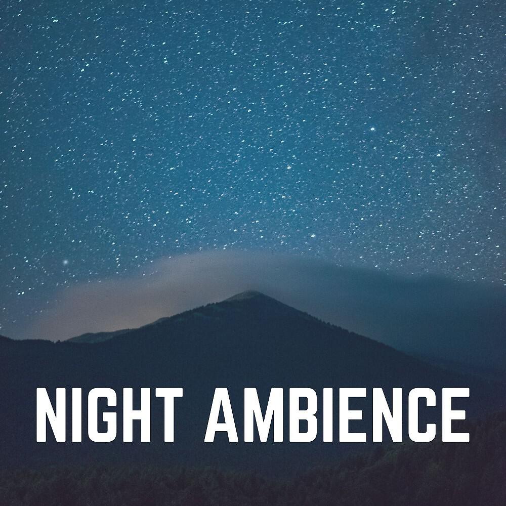 Релиз Night Ambience