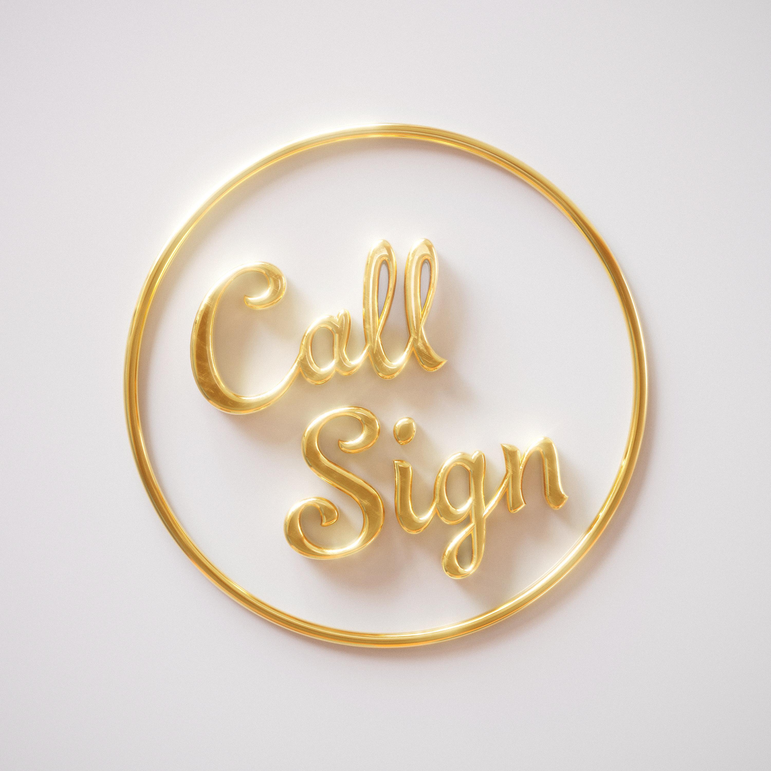 Релиз Call Sign