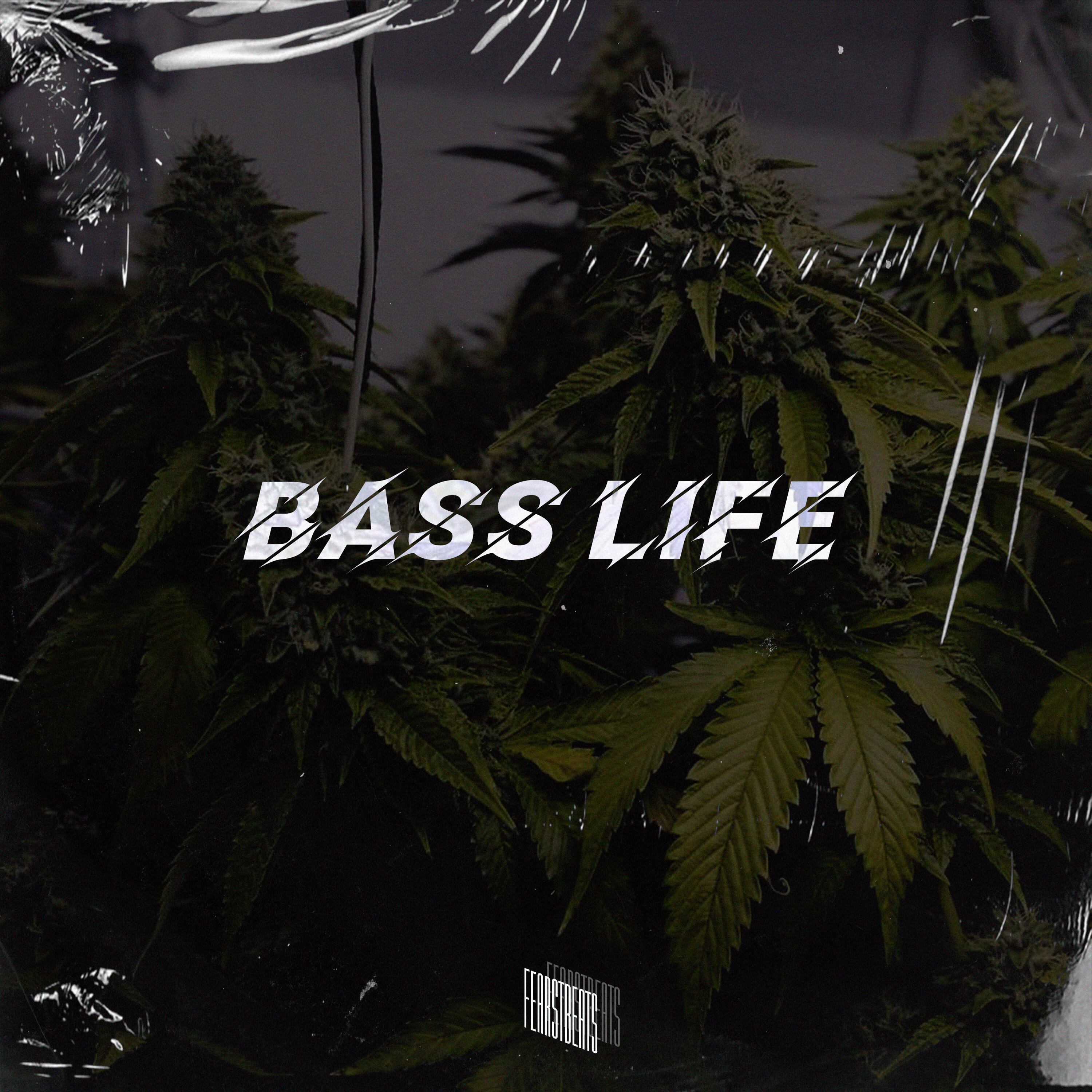 Релиз Bass Life