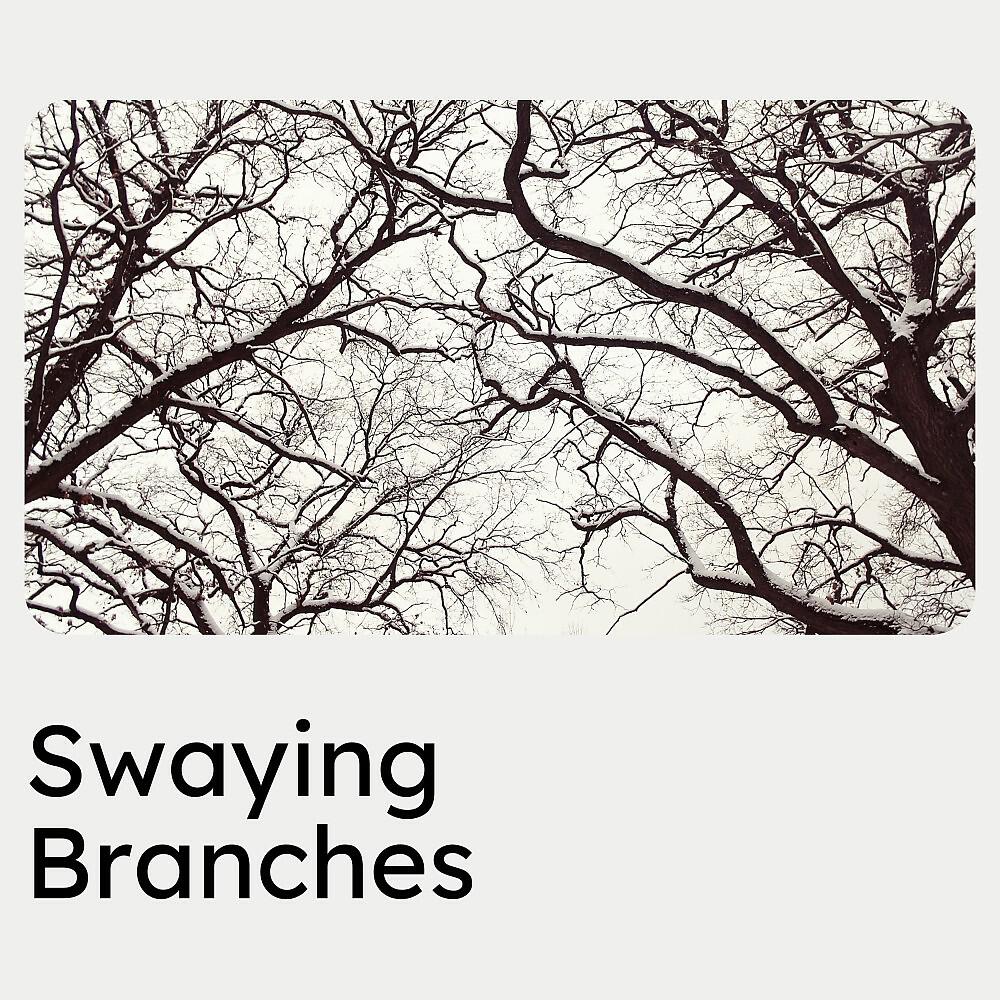 Релиз Swaying Branches
