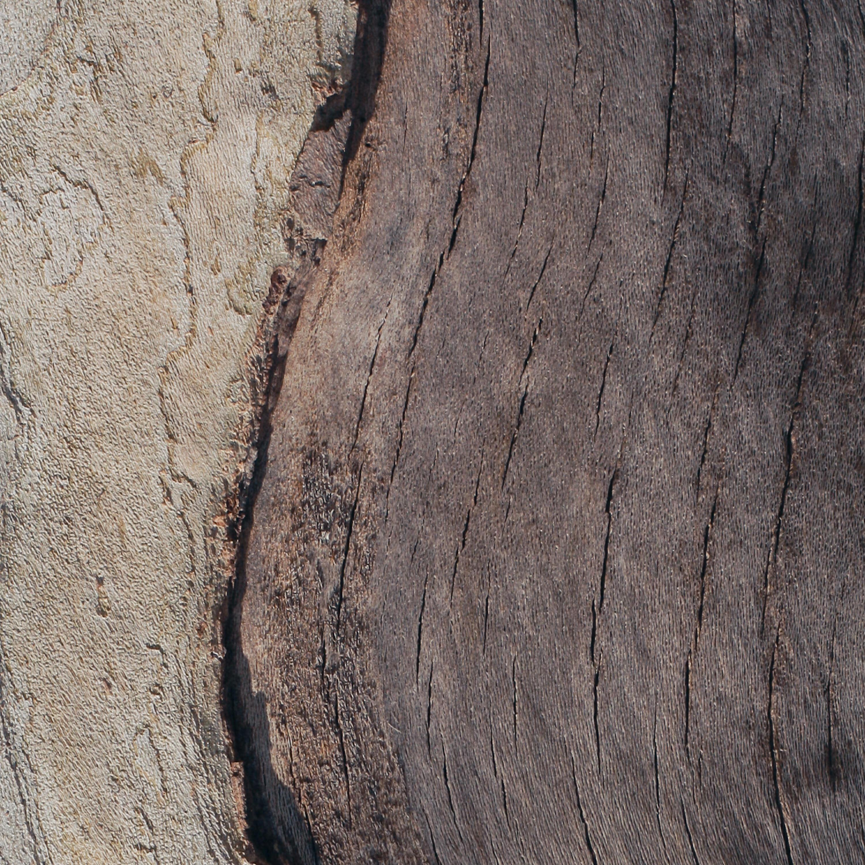 Julien Marchal