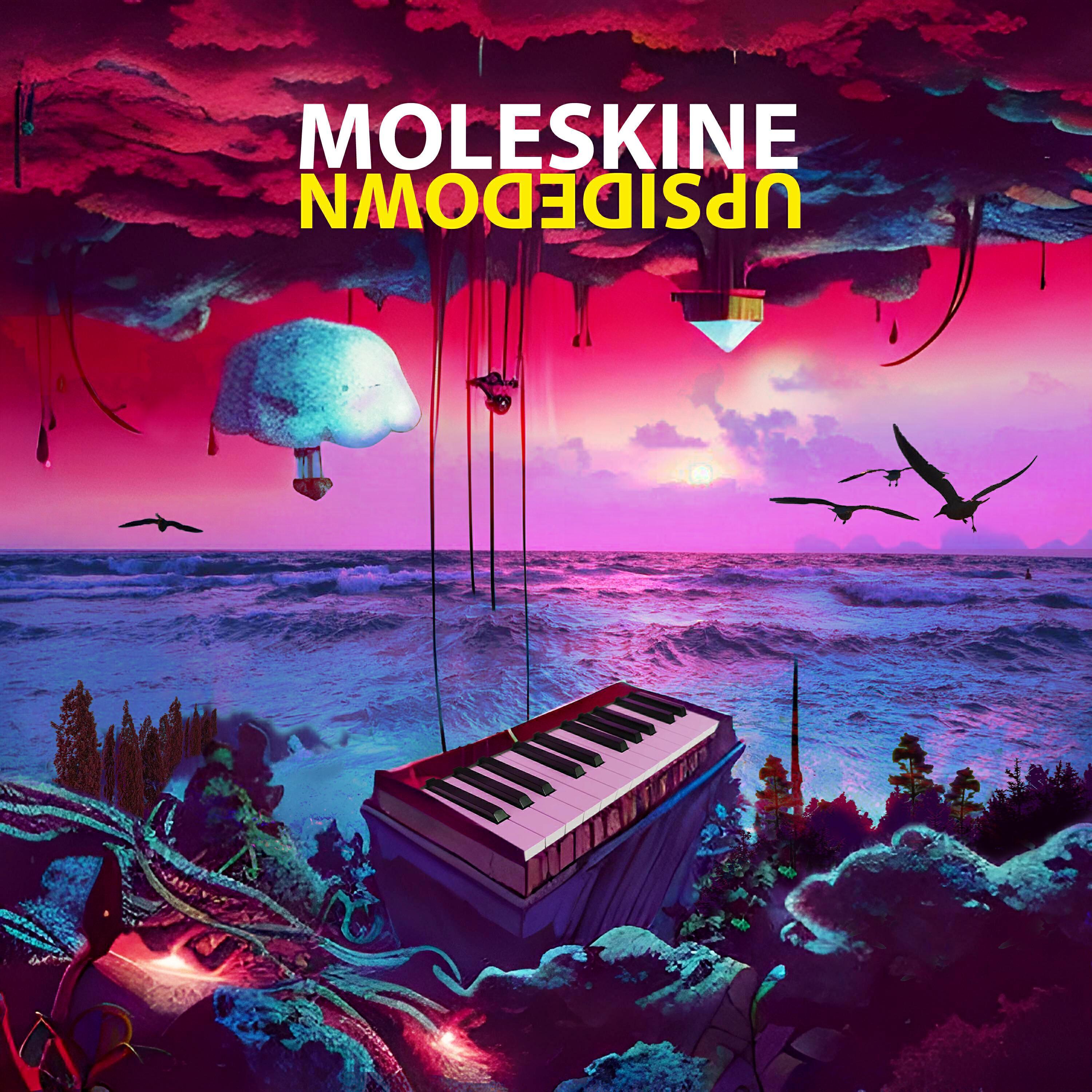 Moleskine