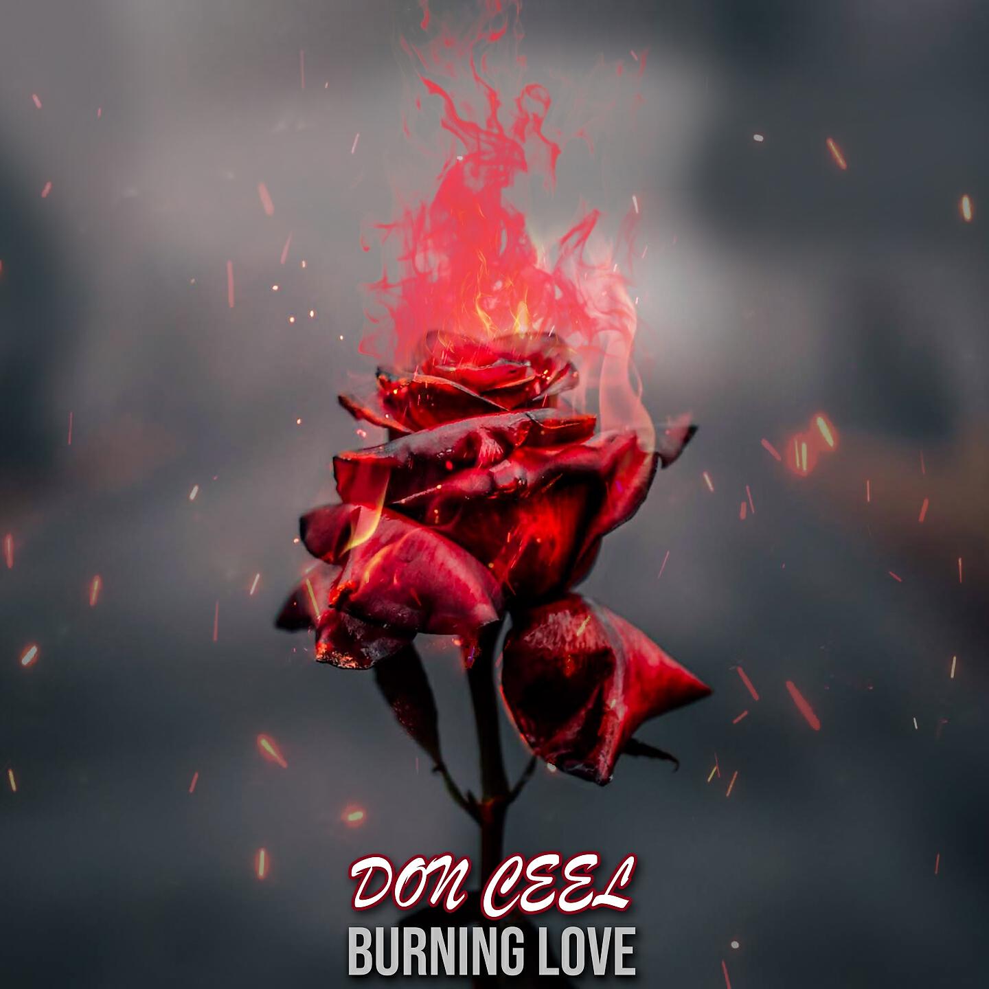 Релиз Burning love