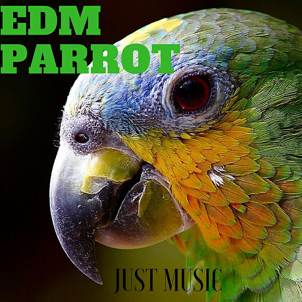 Релиз Edm Parrot Just Music