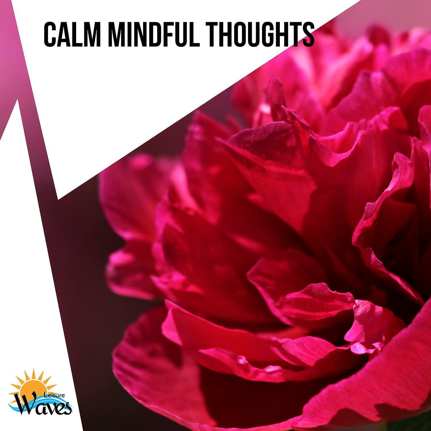 Релиз Calm Mindful Thoughts