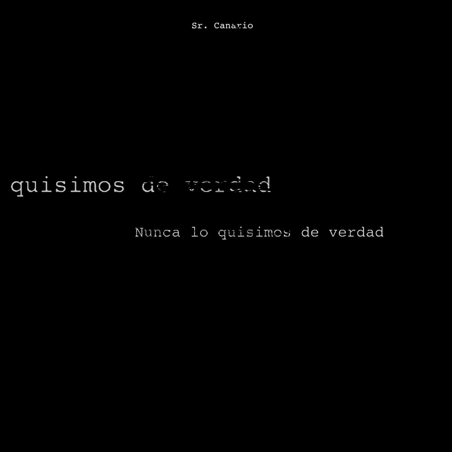 Постер альбома Nunca lo quisimos de verdad
