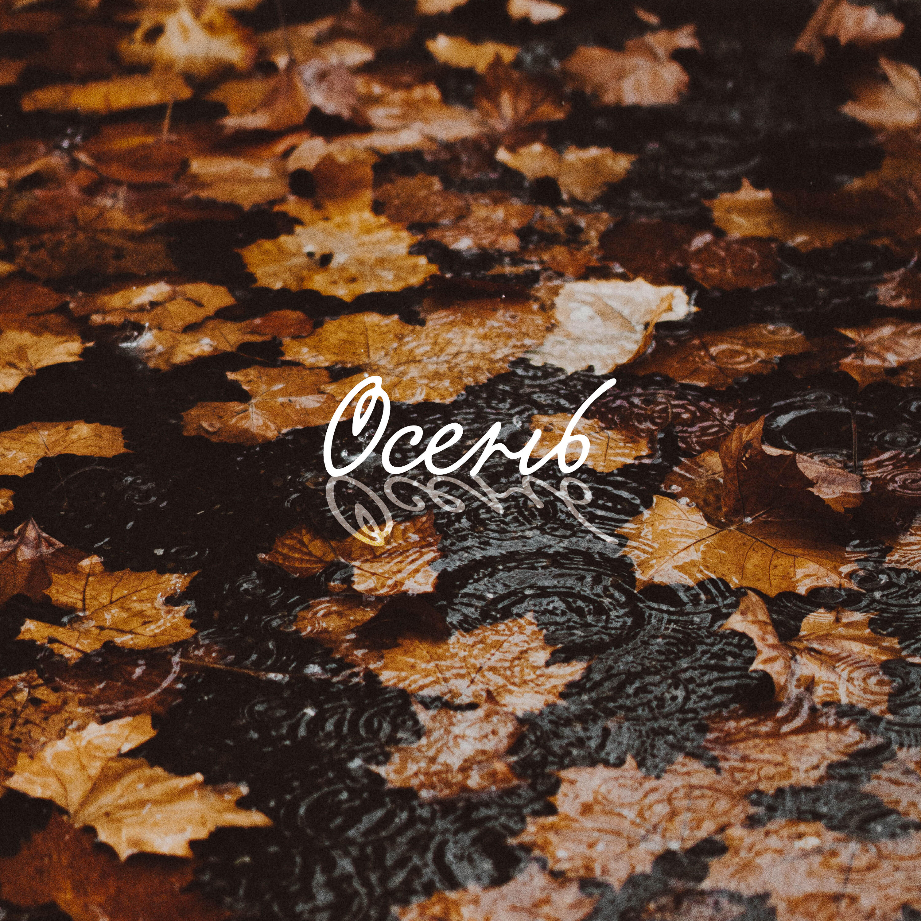 Релиз Осень (feat. Виталий Камардин)