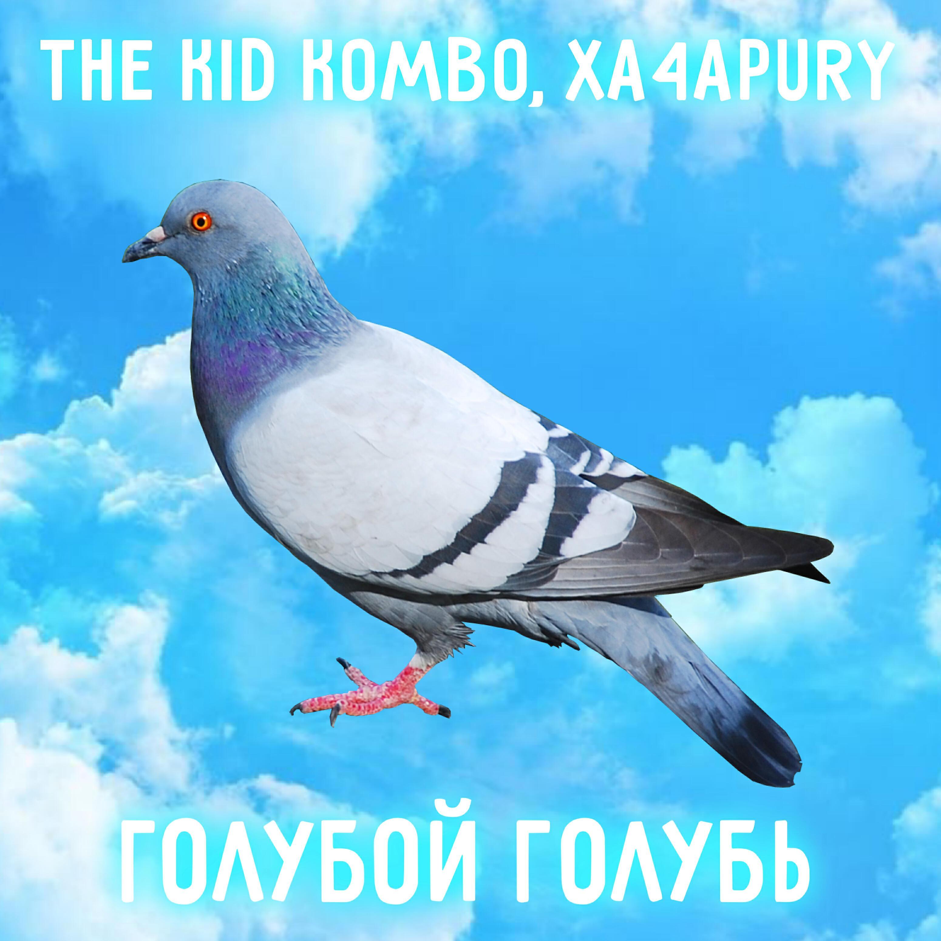 Xa4apury