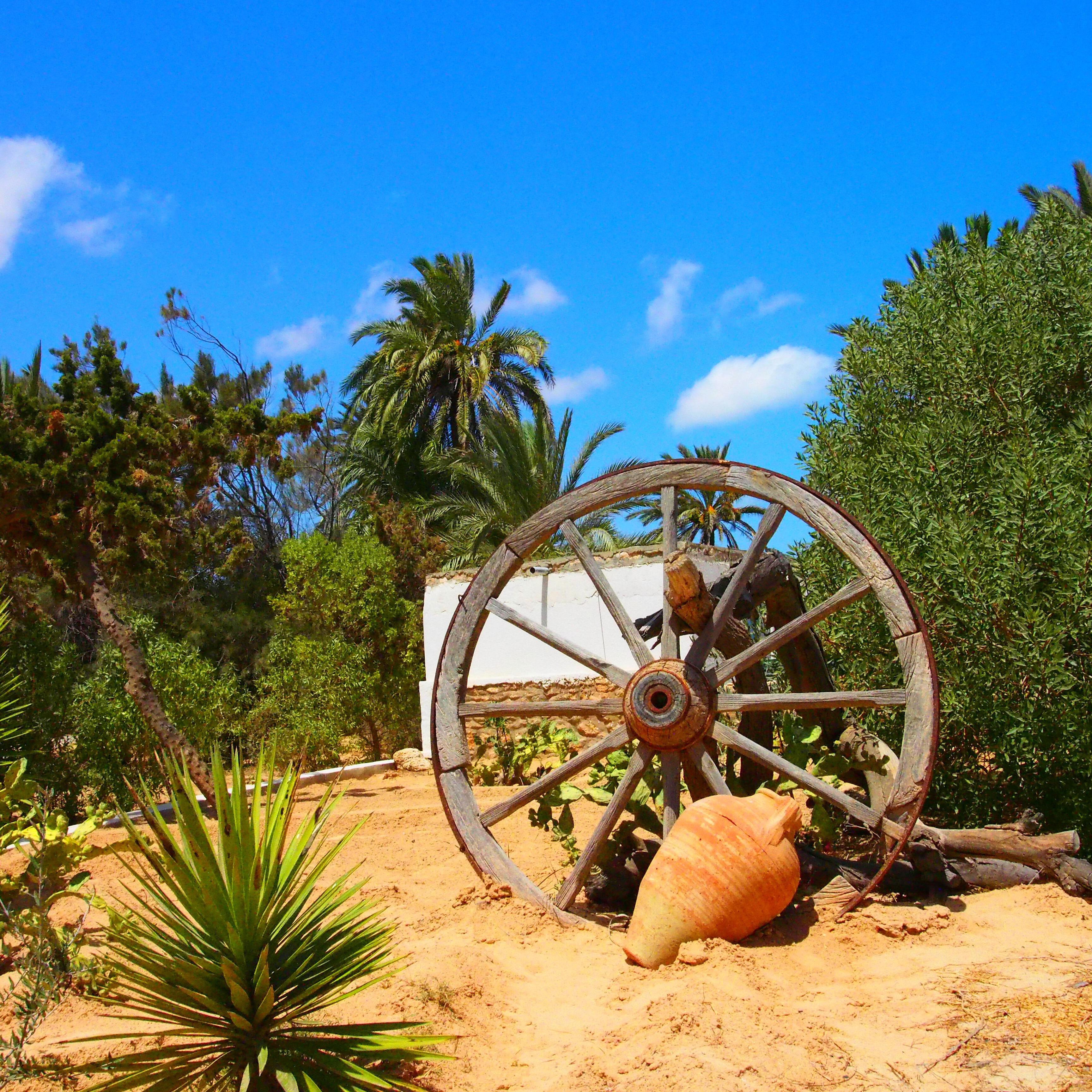 Релиз Perfection