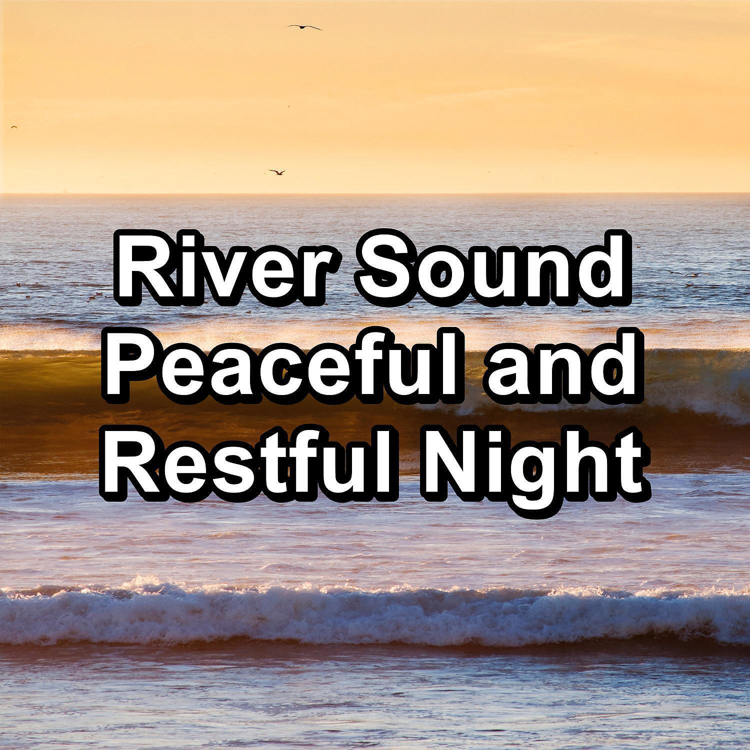 Релиз River Sound Peaceful and Restful Night