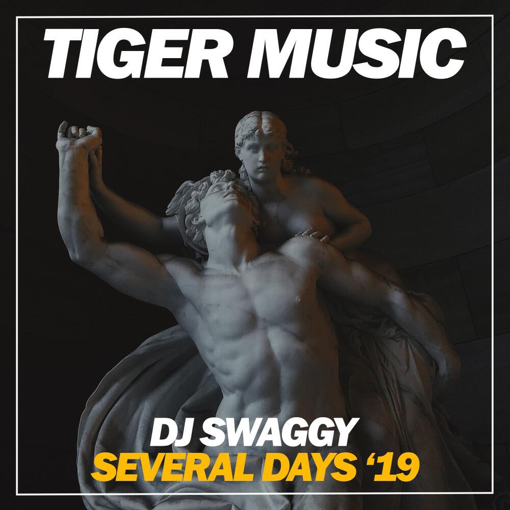 Релиз Several Days '19