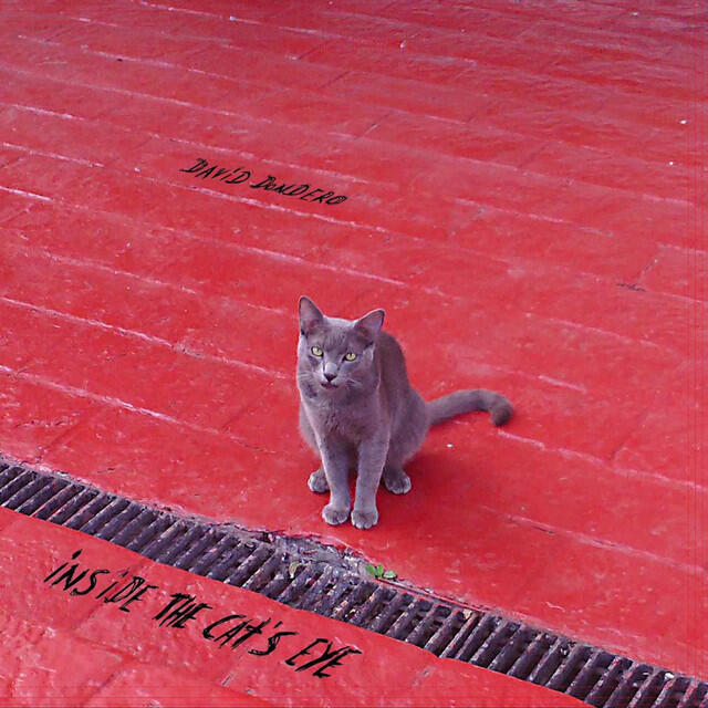 Релиз Inside the Cat's Eye