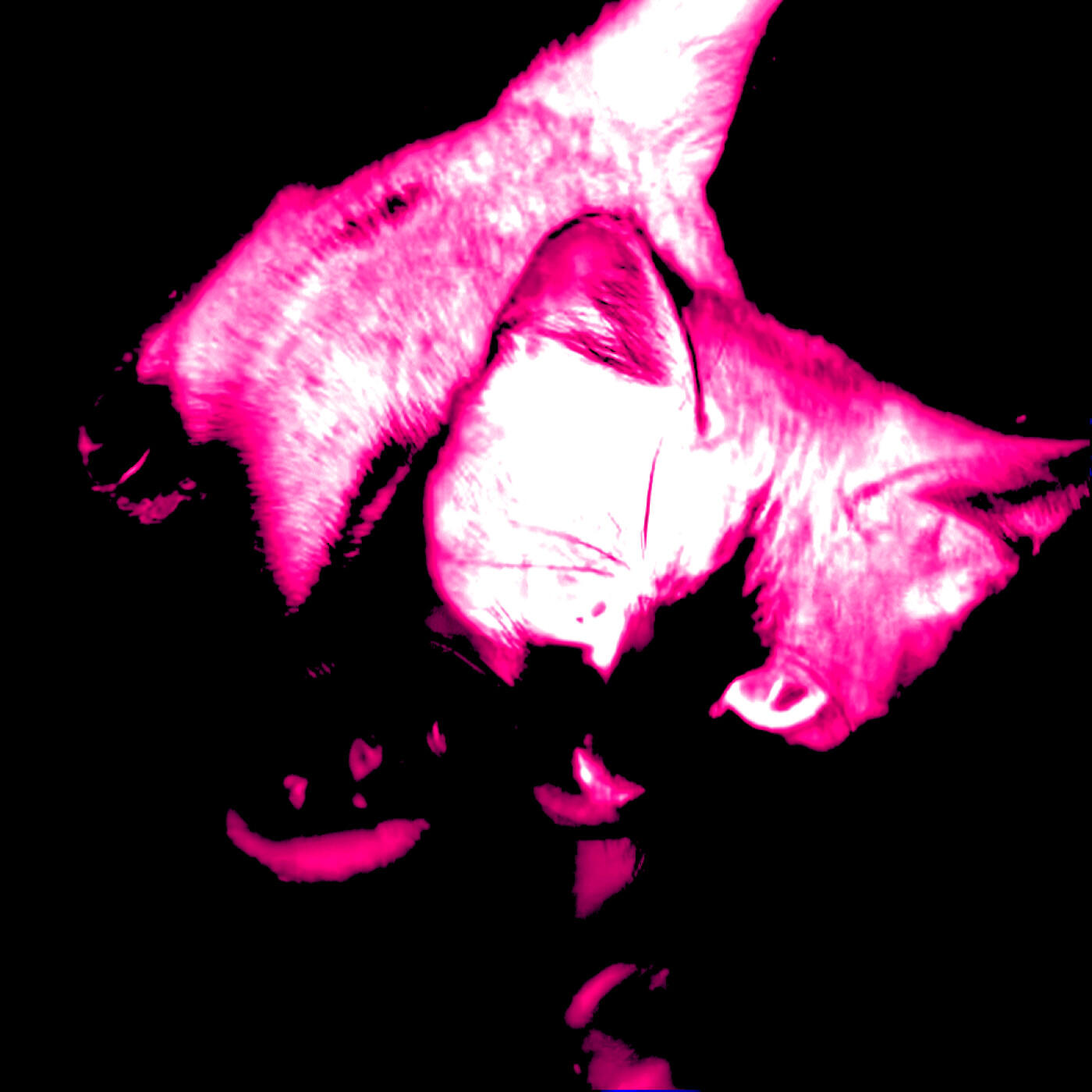 Релиз blanc (Sped Up)