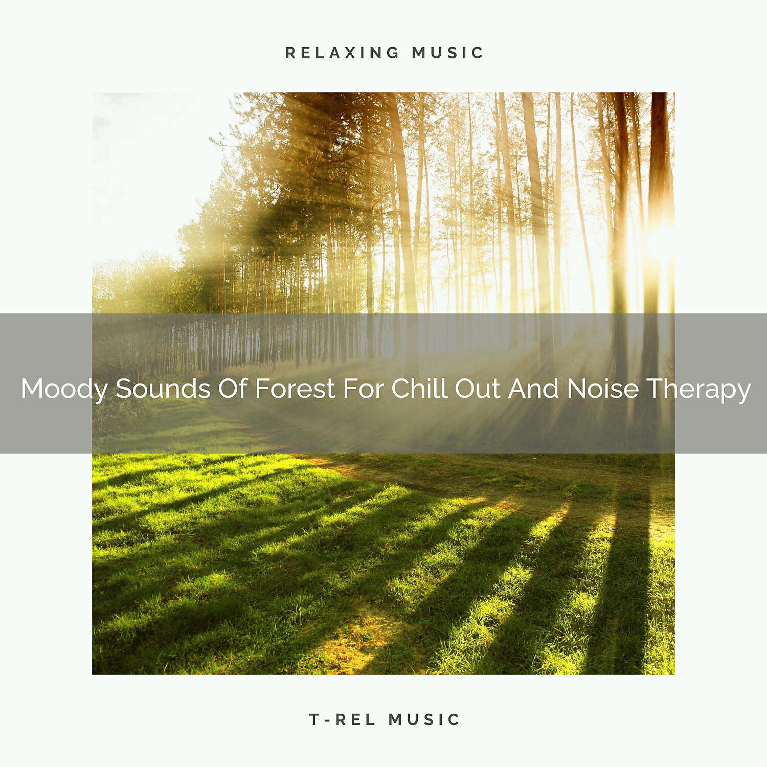 Релиз Moody Sounds Of Forest For Chill Out And Noise Therapy