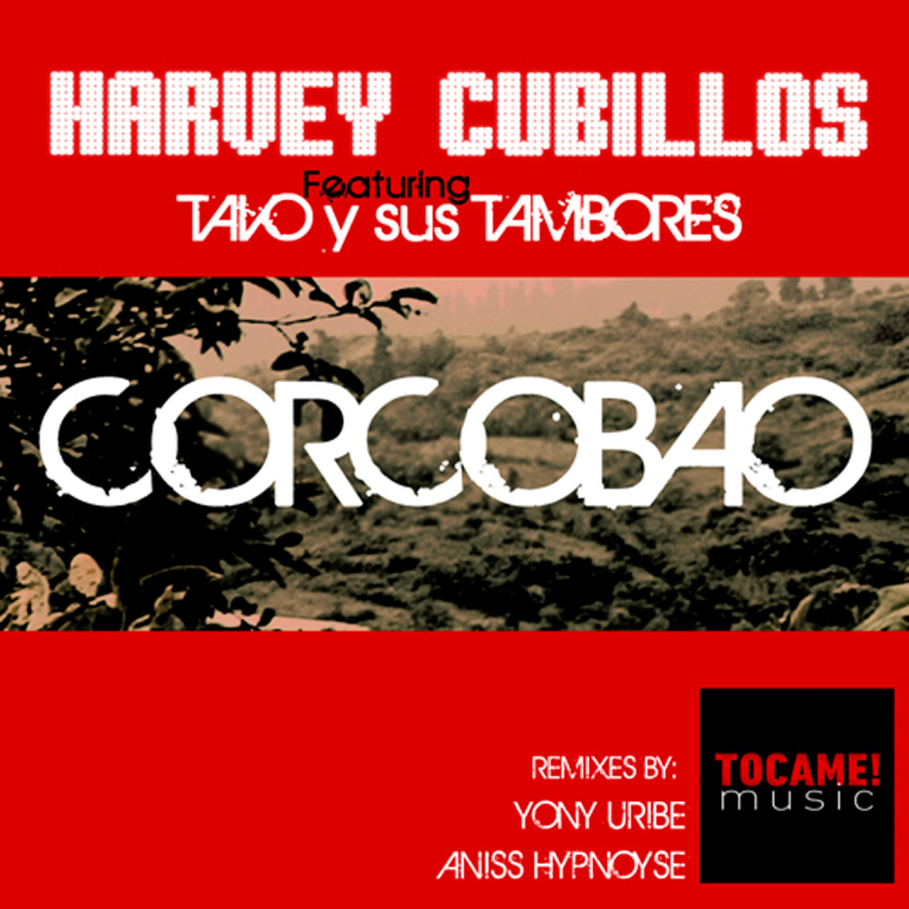Tavo Y Sus Tambores