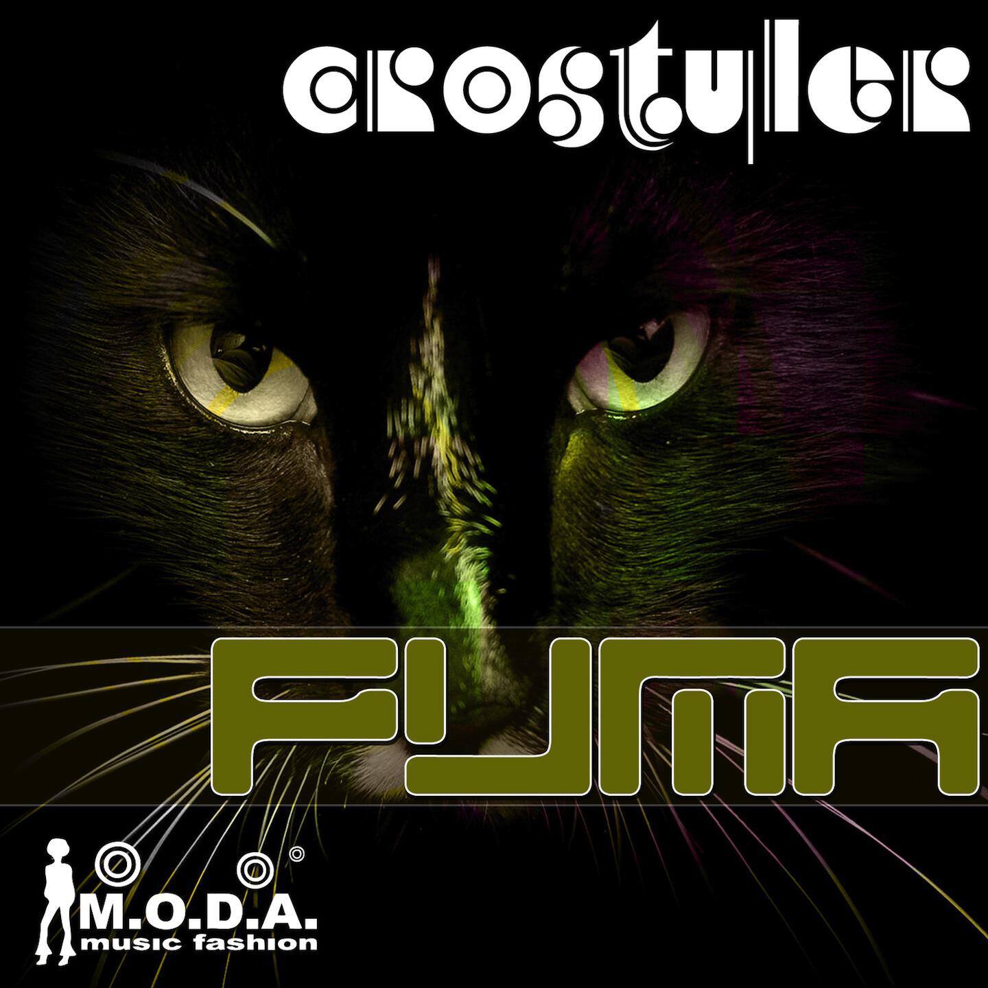 Релиз Puma