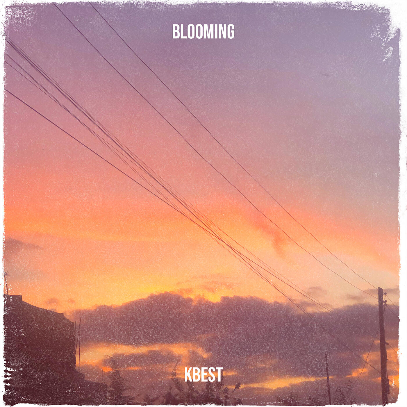 Релиз Blooming
