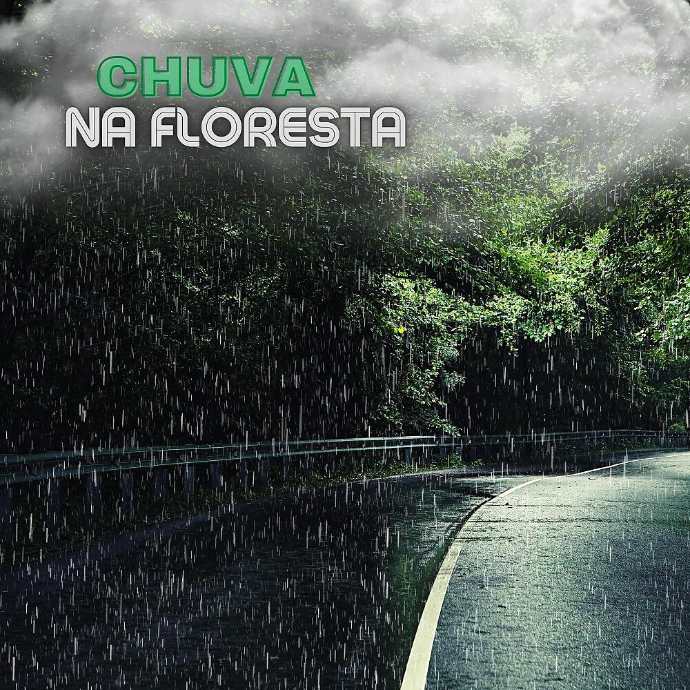 Релиз Chuva na Floresta