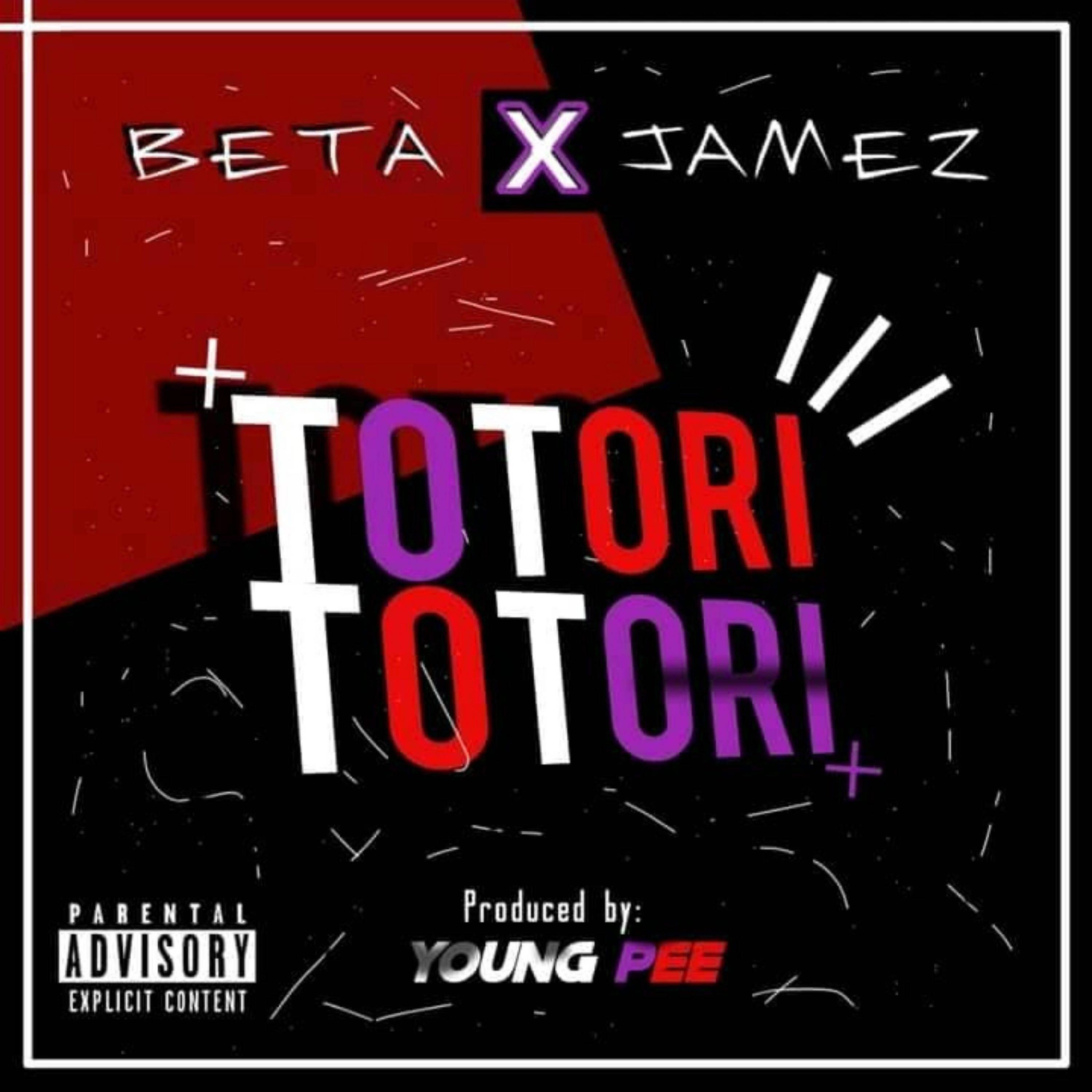 Релиз Totori