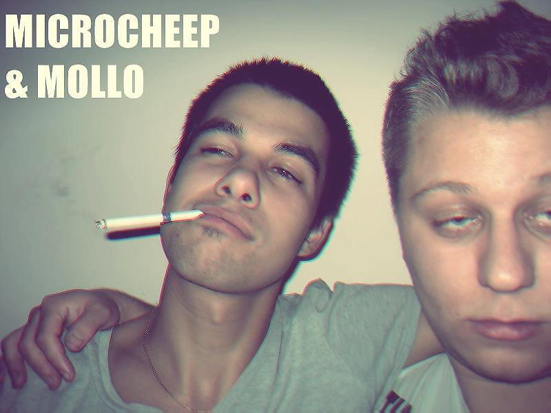 Microcheep & Mollo