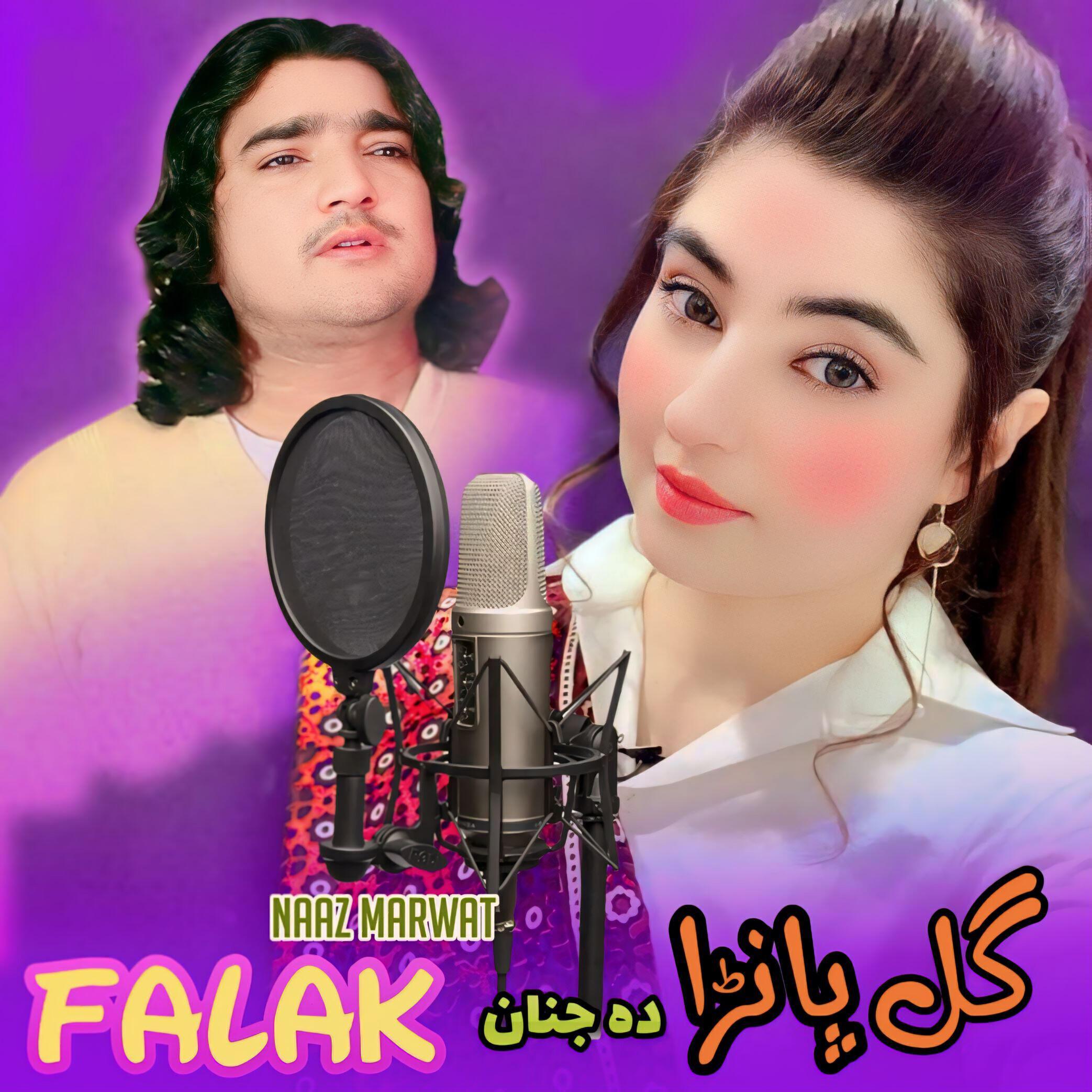 Falak Naaz Marwat