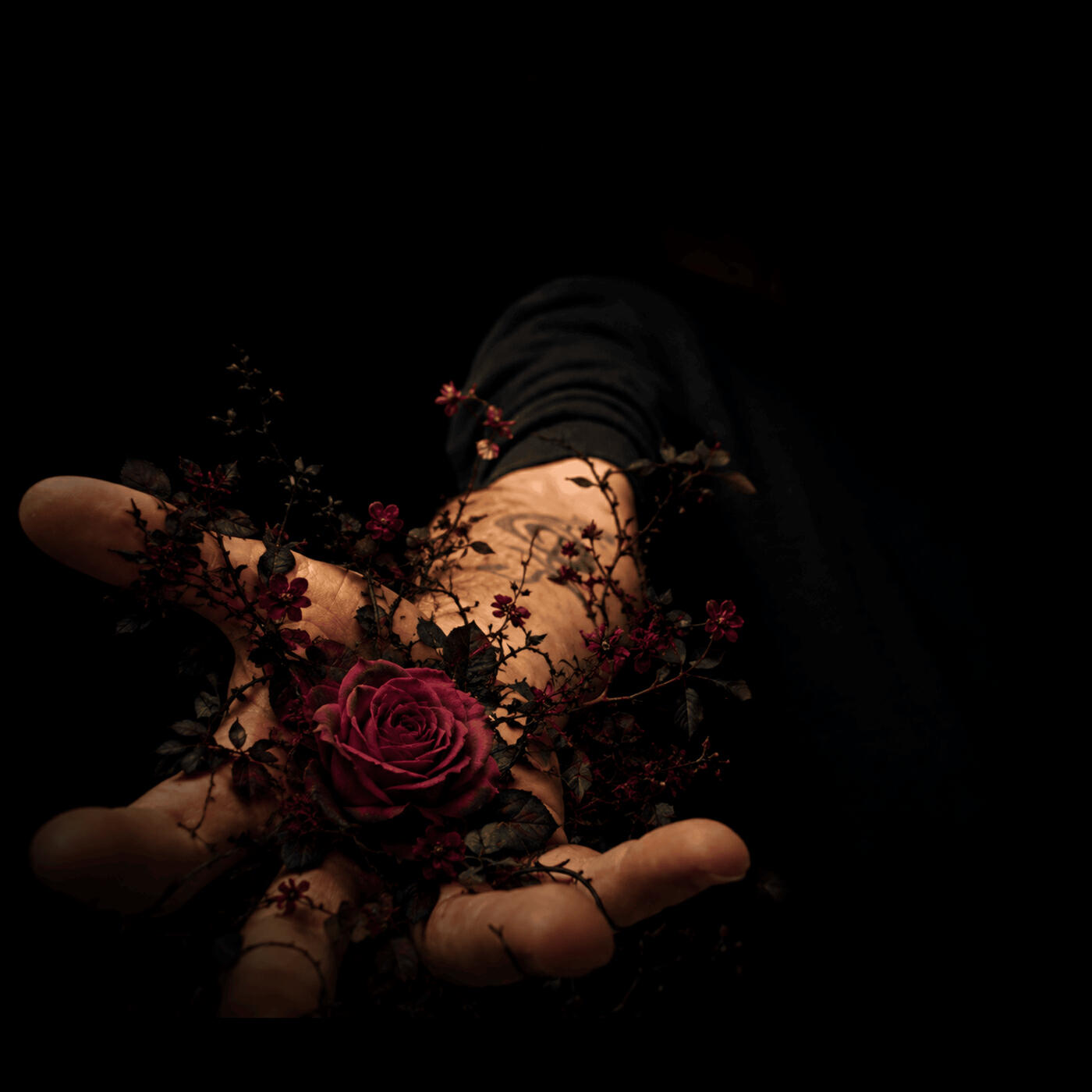 Релиз Growth