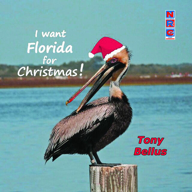 Релиз I Want Florida for Christmas-Single