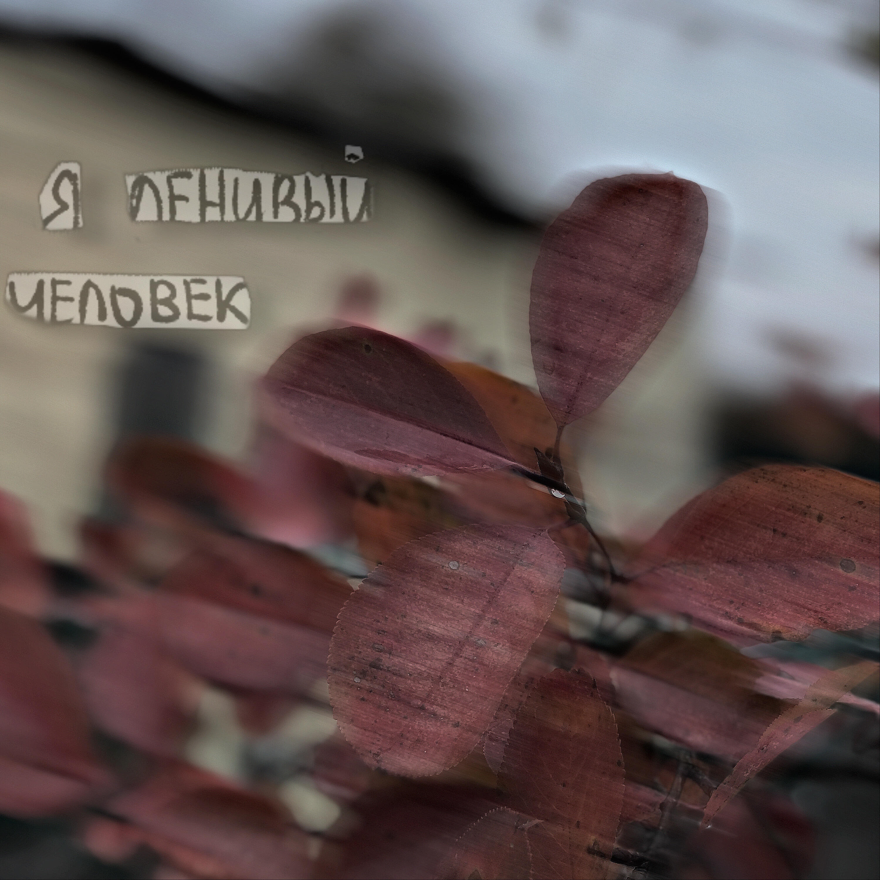 Релиз Я ленивый человек