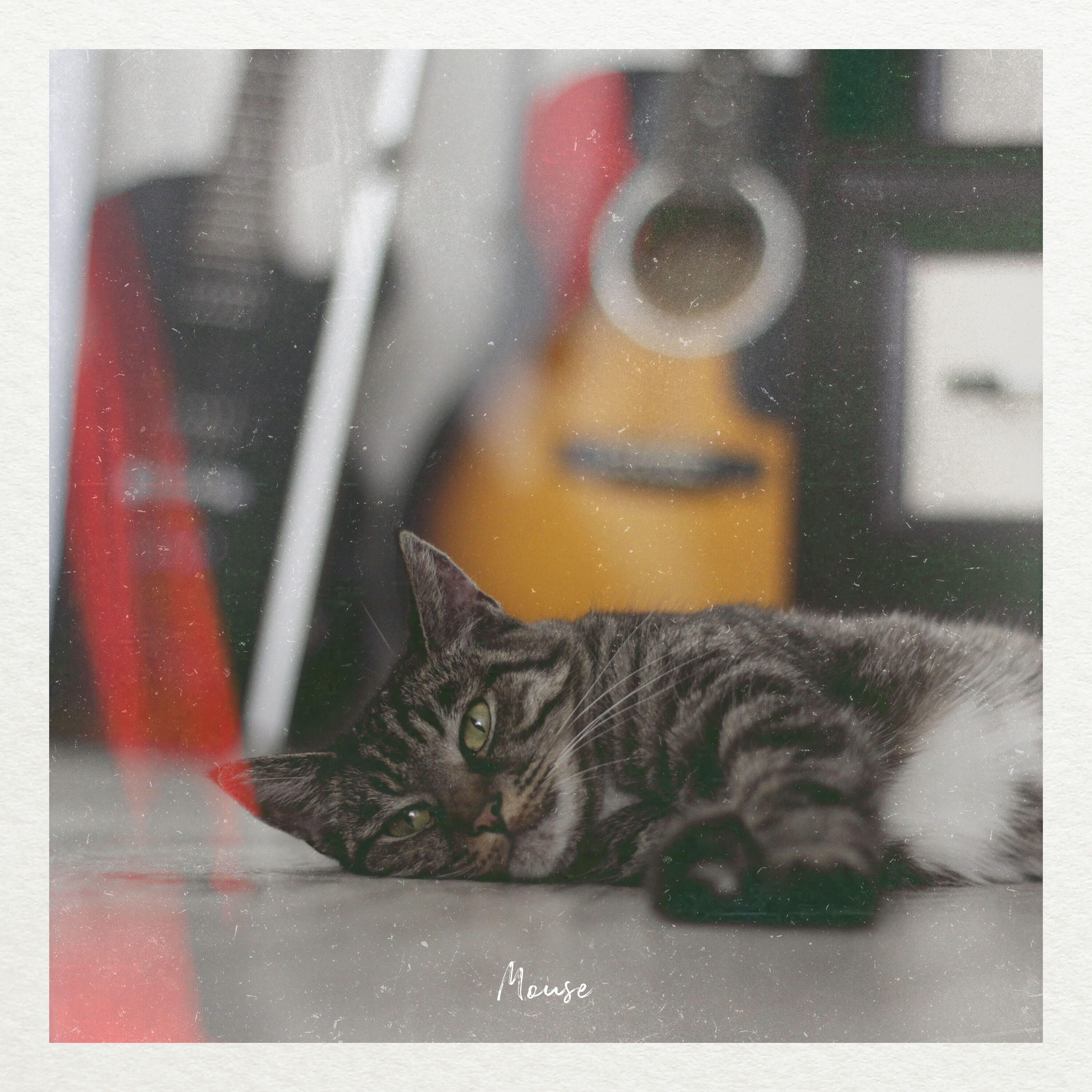 Релиз Mouse