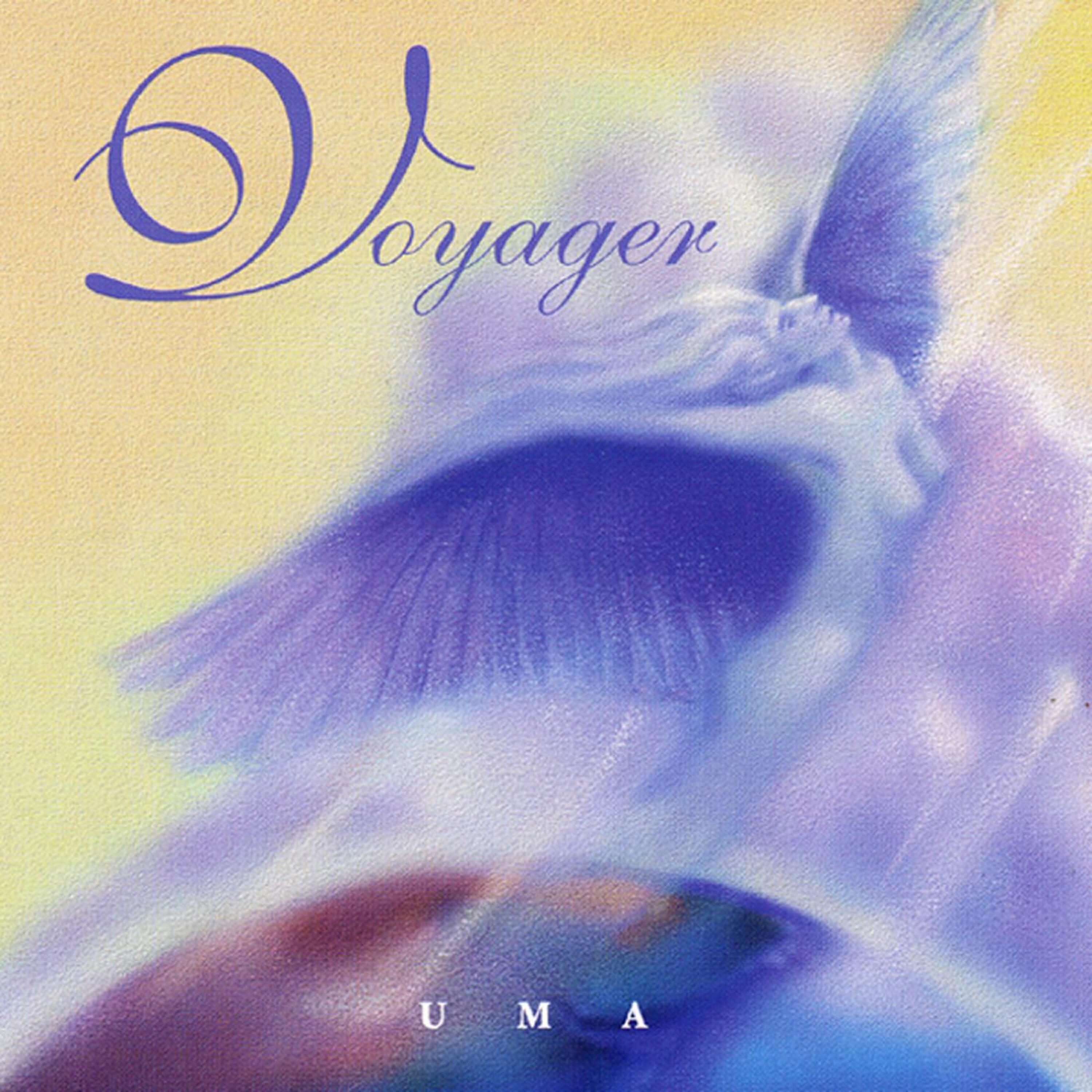 Релиз Voyager