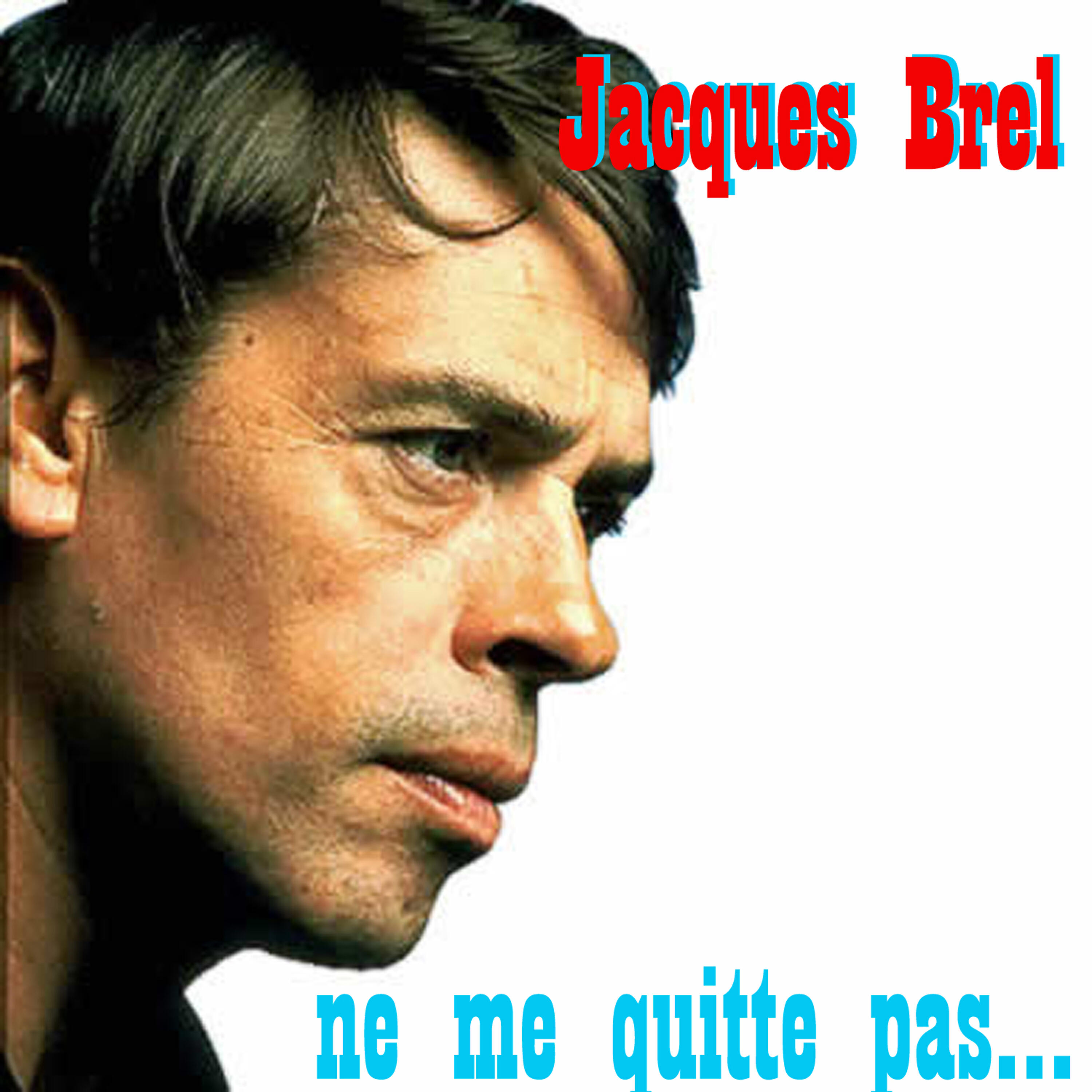Постер альбома Ne Me Quitte Pas