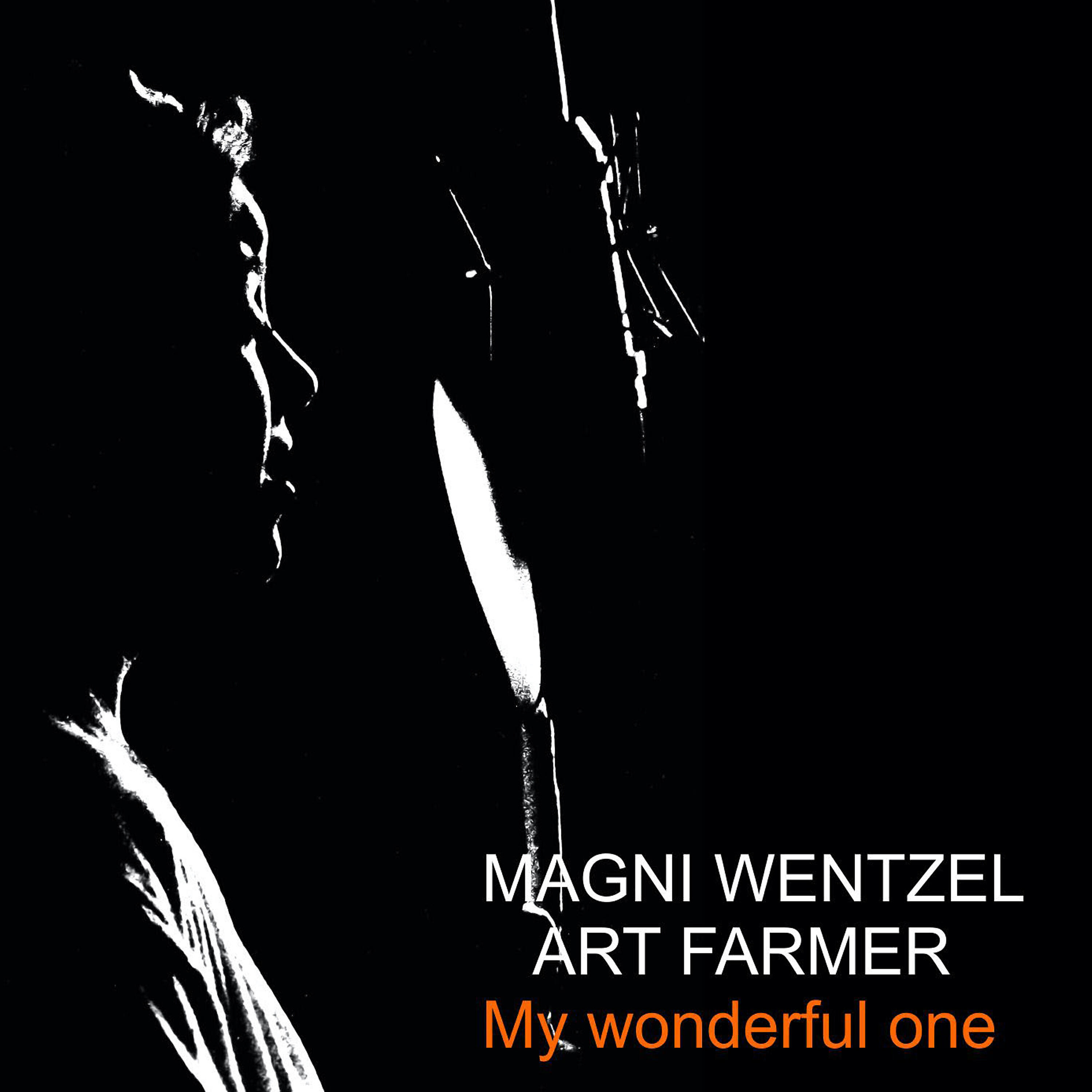 Magni Wentzel