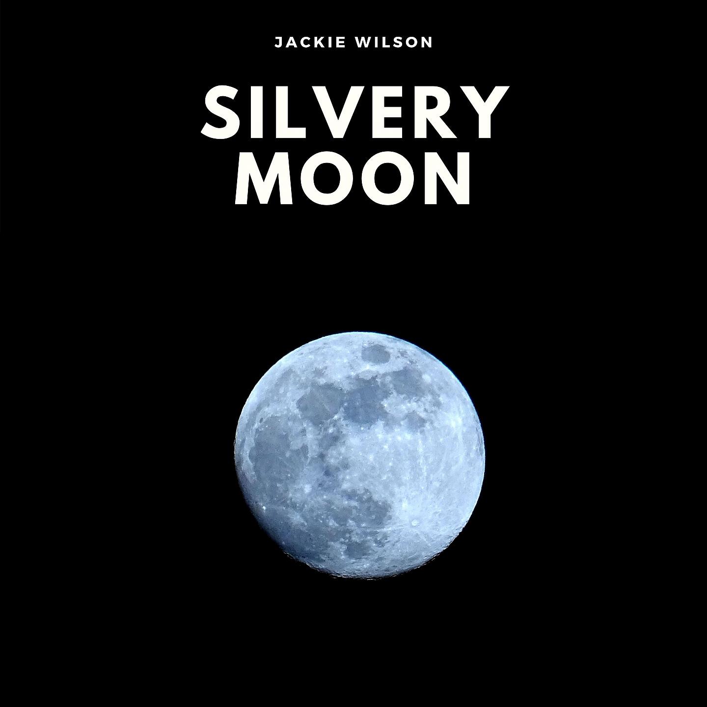 Релиз Silvery Moon