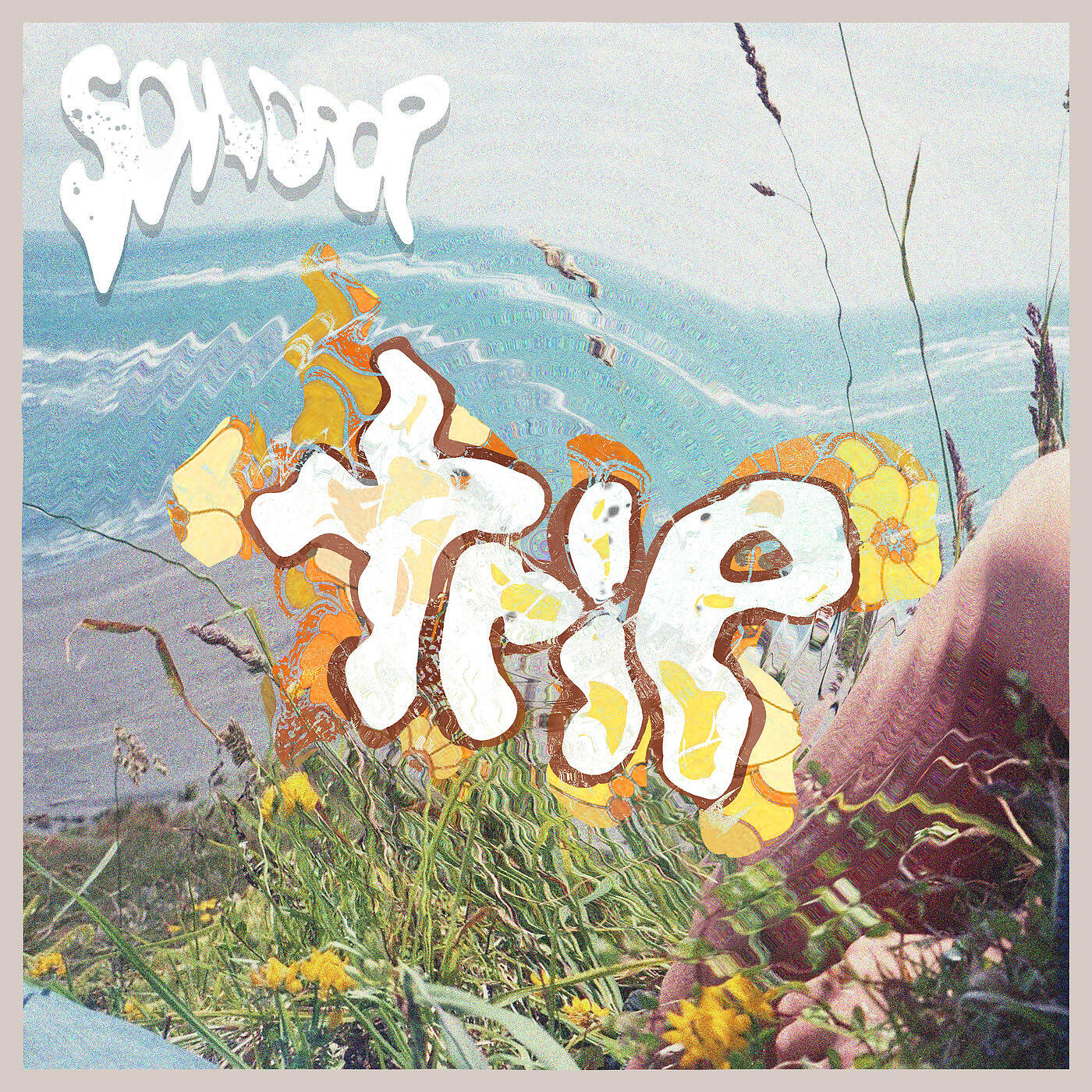 Альбом trip исполнителя Souldrop