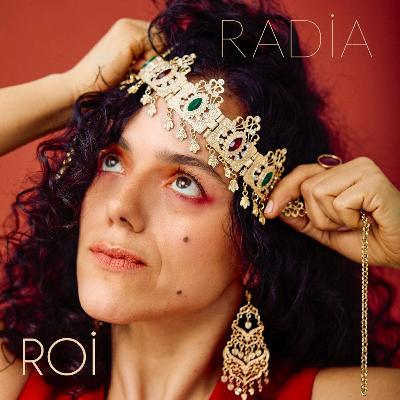Релиз Roi