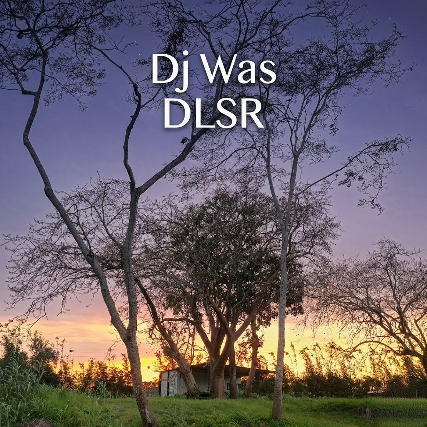Релиз Dlsr