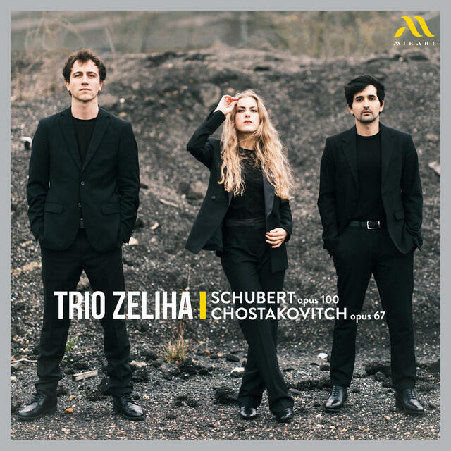 Релиз Schubert: Piano Trio in E-Flat Major, D. 929, Op. 100: II. Andante con moto