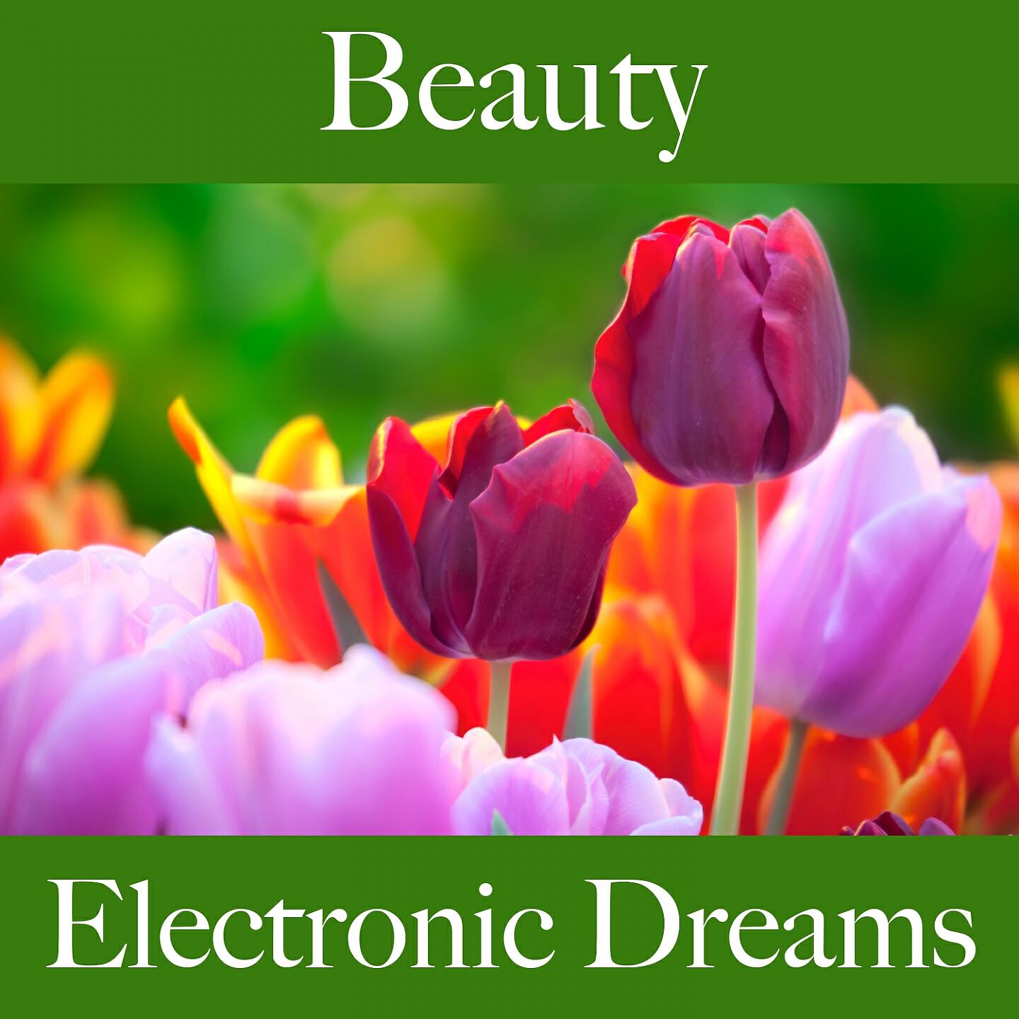 Релиз Beauty: Electronic Dreams - La Meilleure Musique Pour Se Détendre