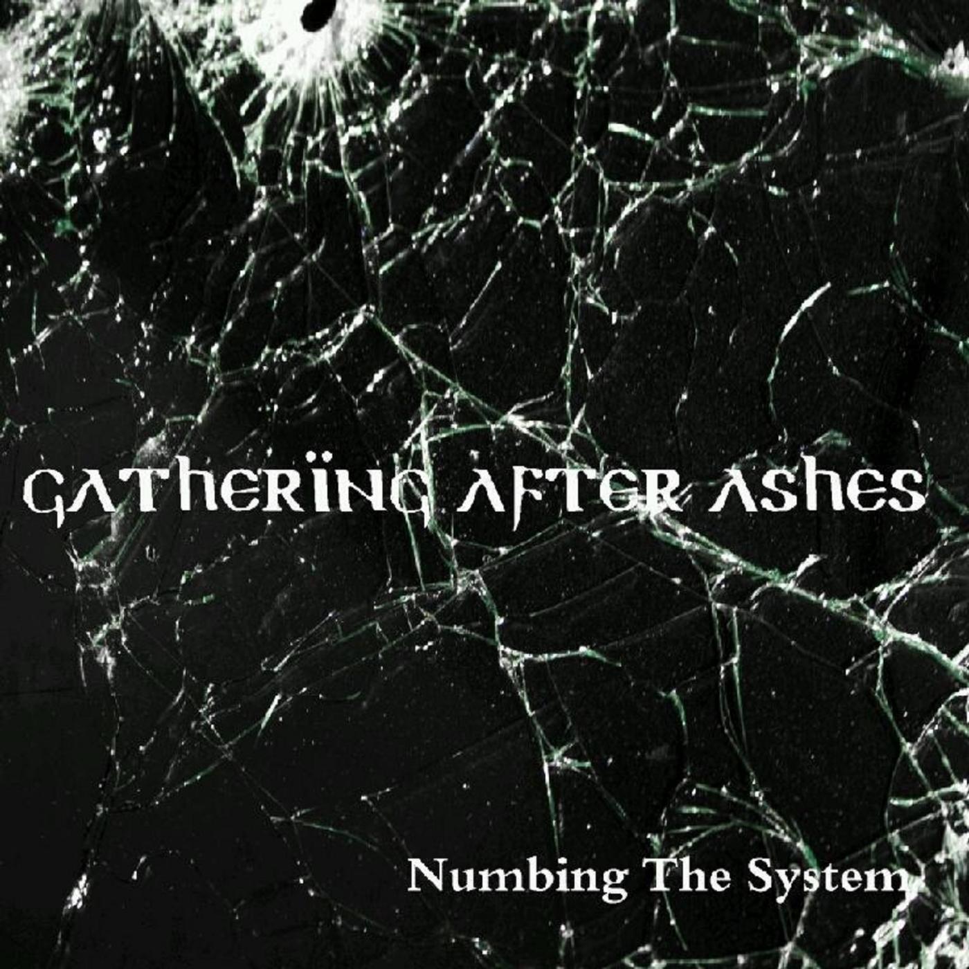 Релиз Numbing the System